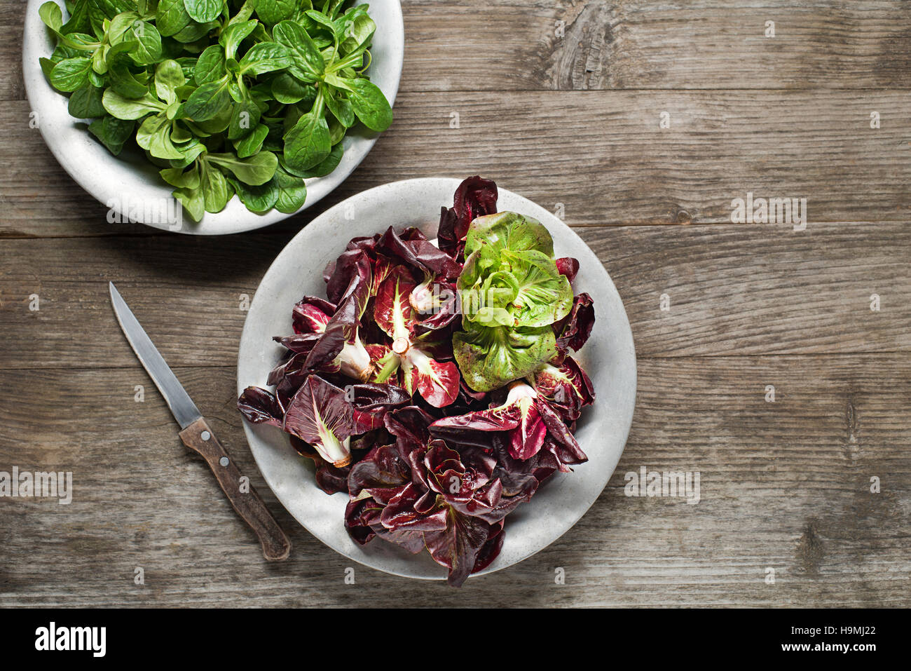 Valerianella lettuce and red radicchio in a plate close up Stock Photo