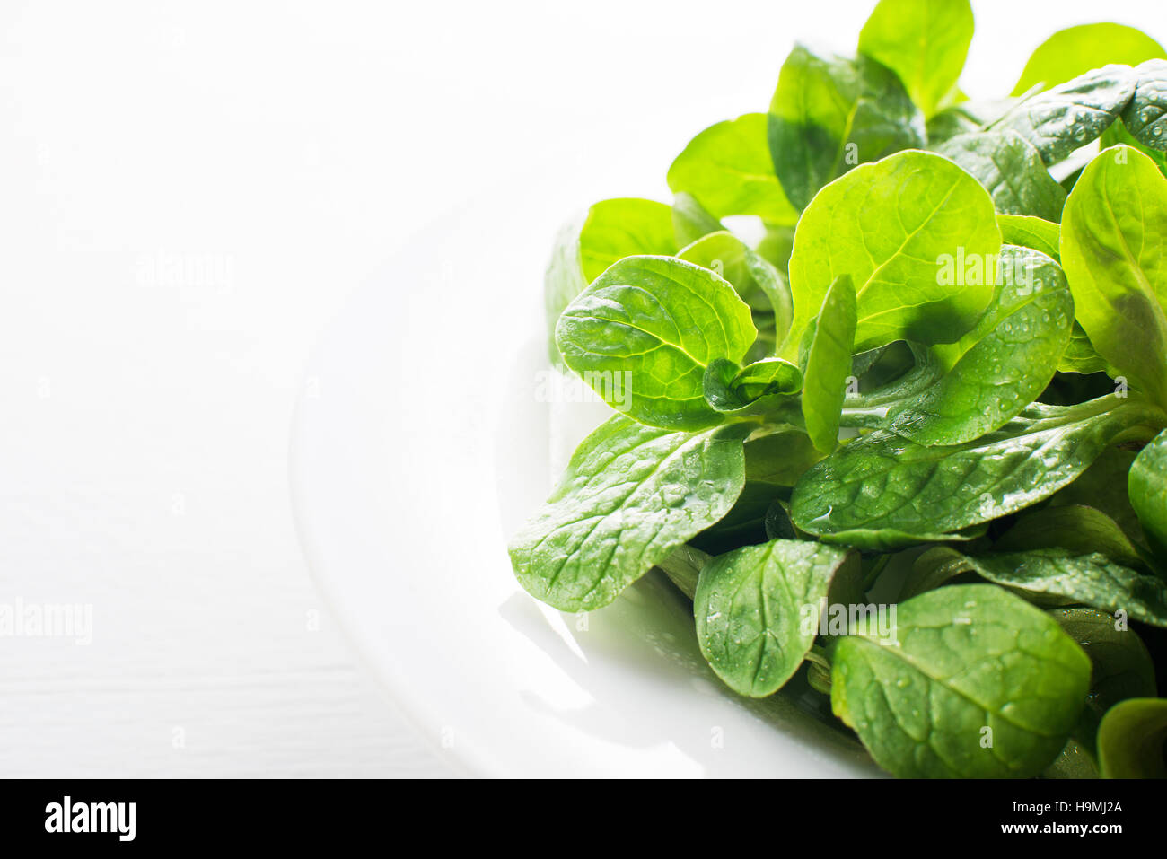Valerianella lettuce on white plate close up Stock Photo