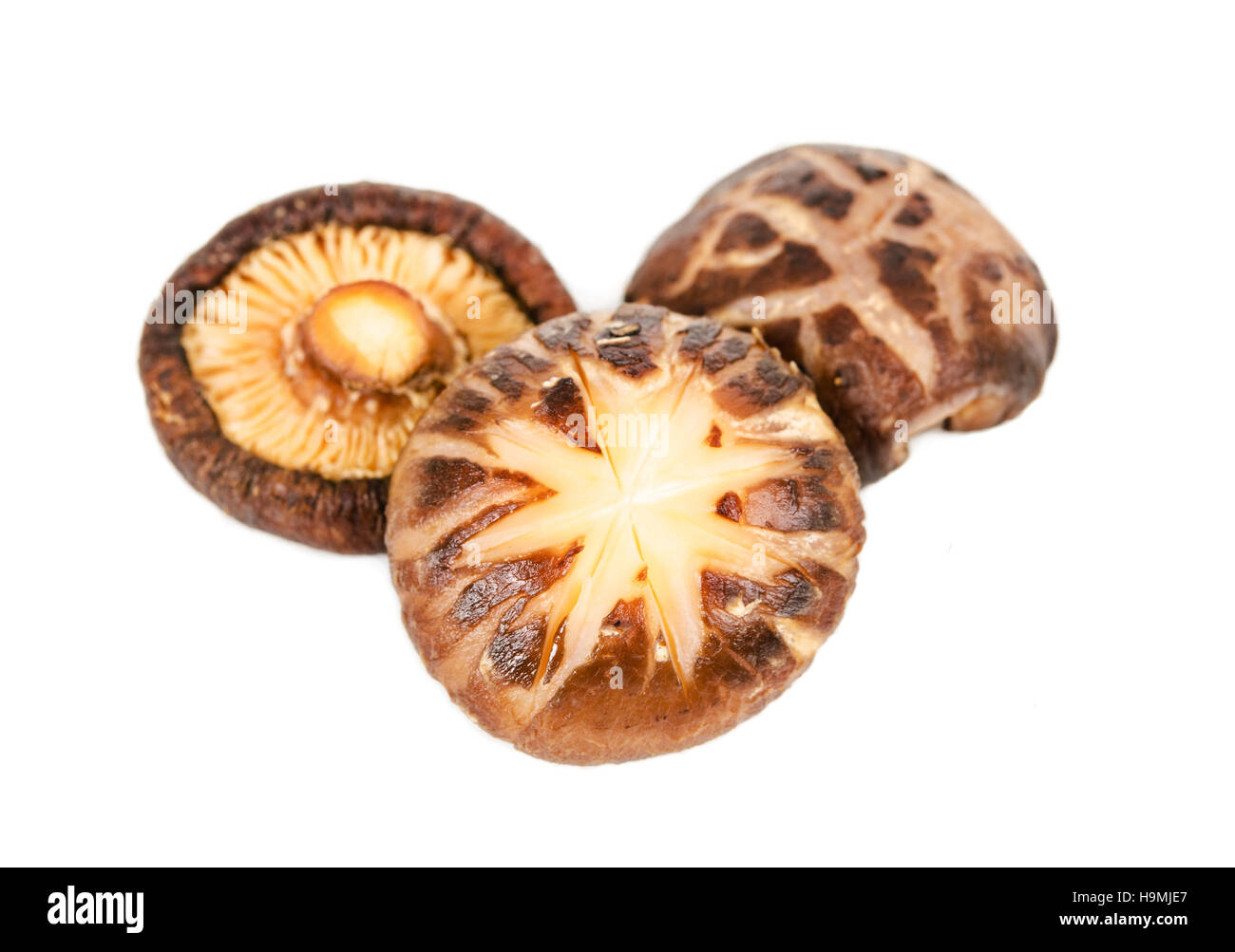dried shiitake mushrooms after soak in water Stock Photo Alamy