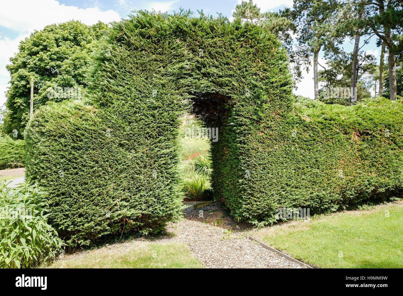 An evergreen arch in a community garden in Wiltshire UK Stock Photo