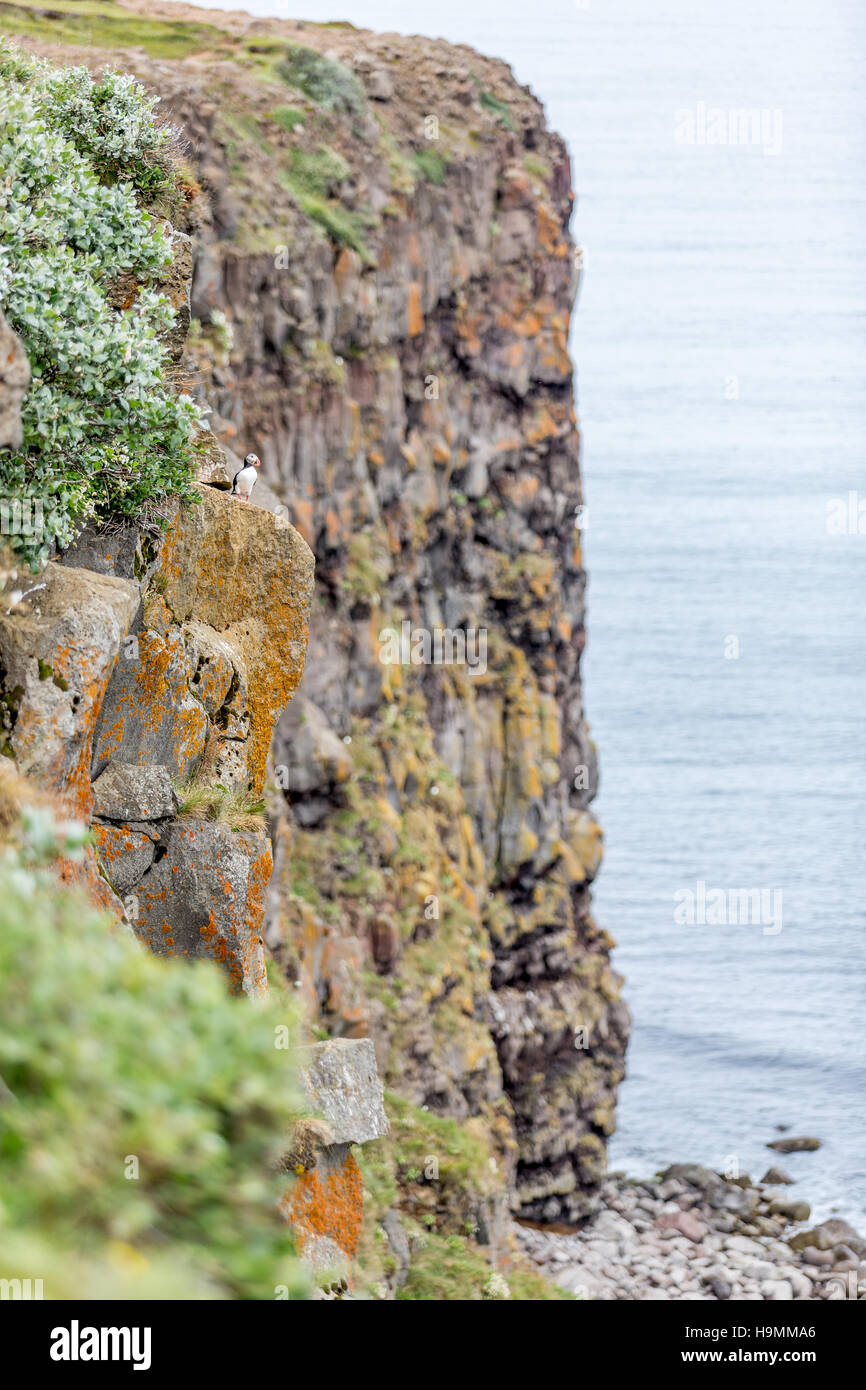 The Republic of Iceland, Island, nordic, travel photography, Iceland