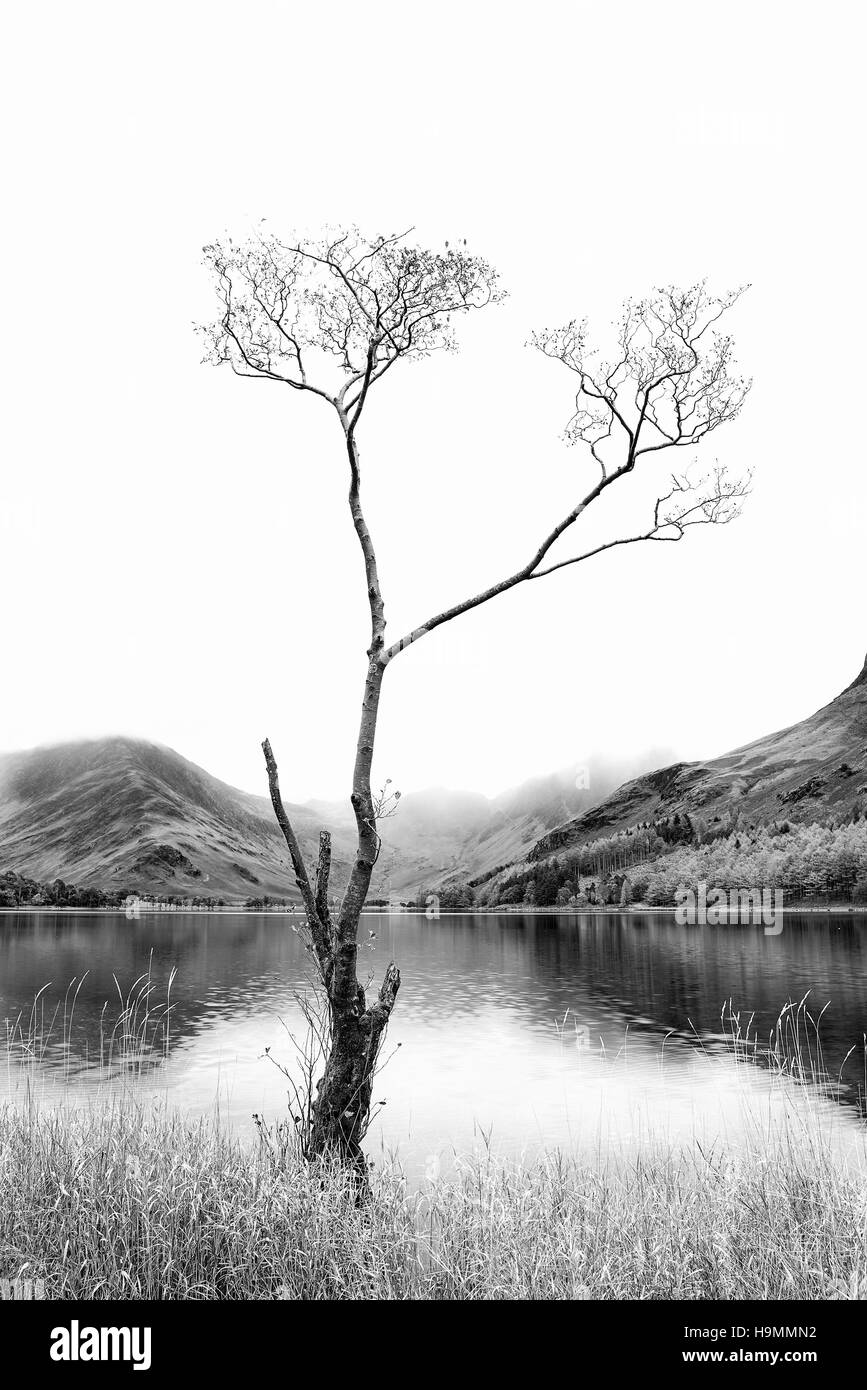 Stunning black and white high key landscape image of Lake Buttermere in Lake District England Stock Photo