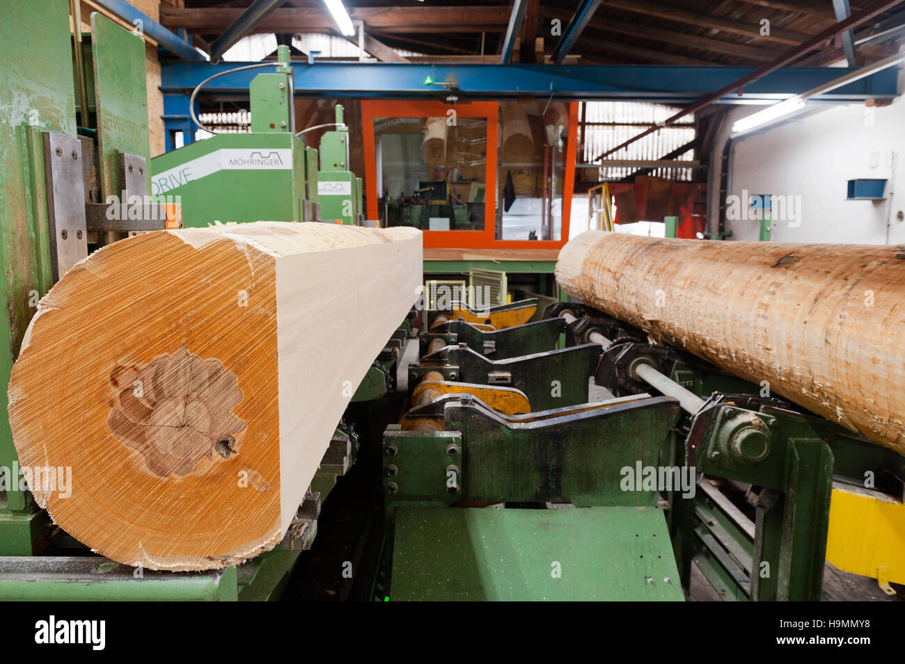 Wood cutter on wood processing.