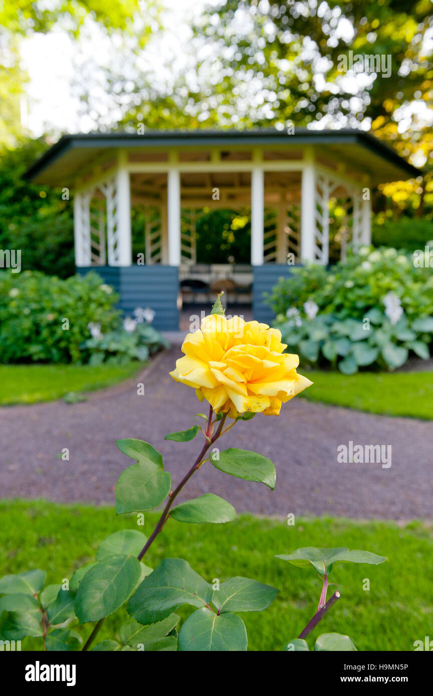 Yellow rose and pagoda in grounds of German home Stock Photo