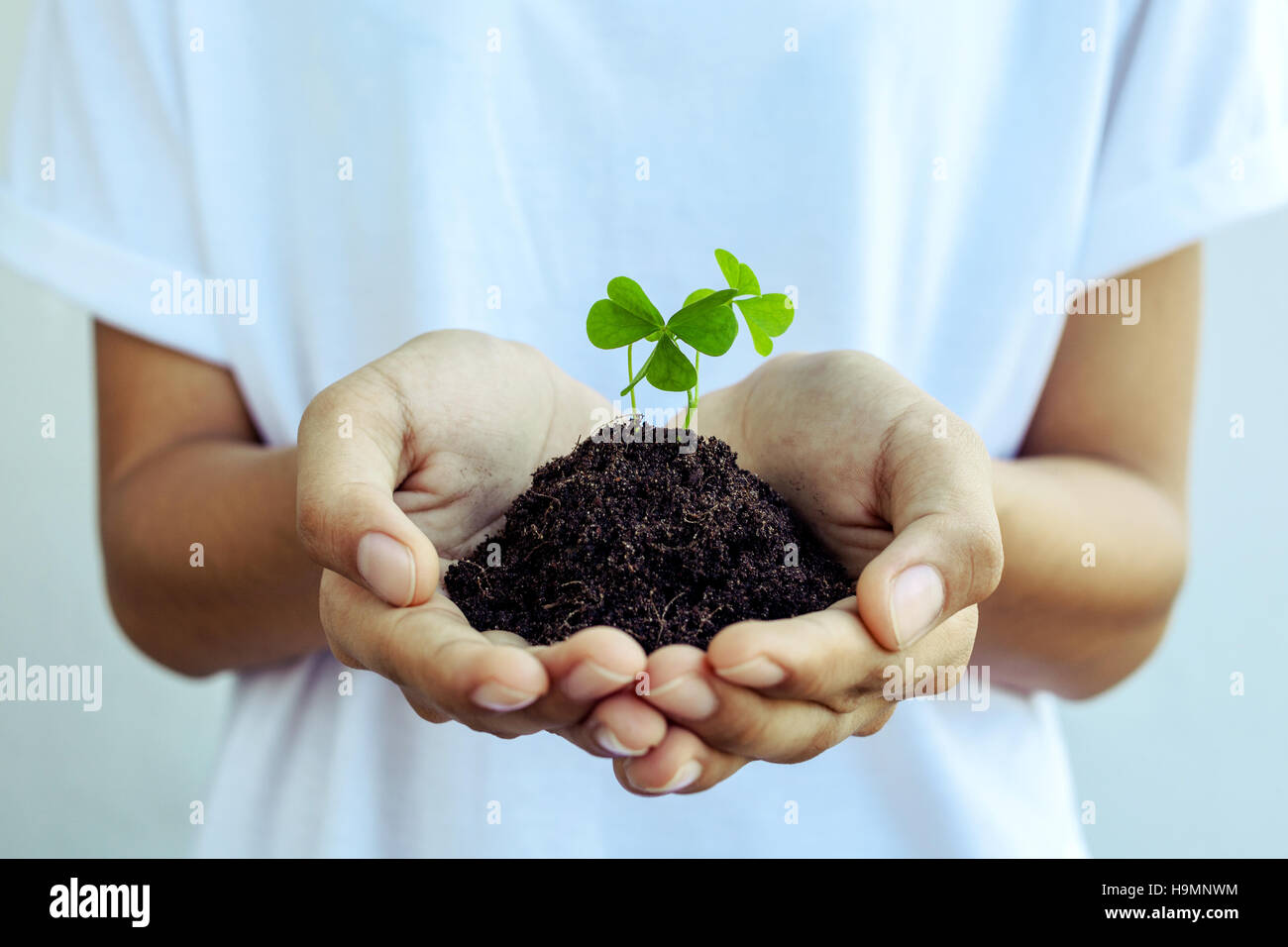 The girl hold  Clover leaf . - Concept for love , hope and goodn Stock Photo