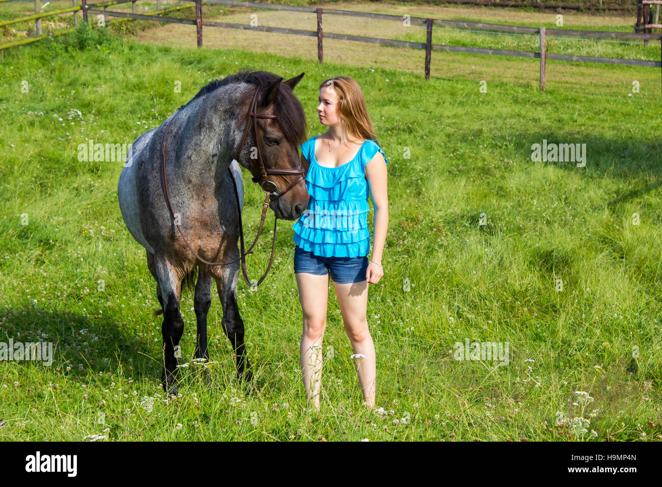 young girl and her horse Stock Photo Alamy