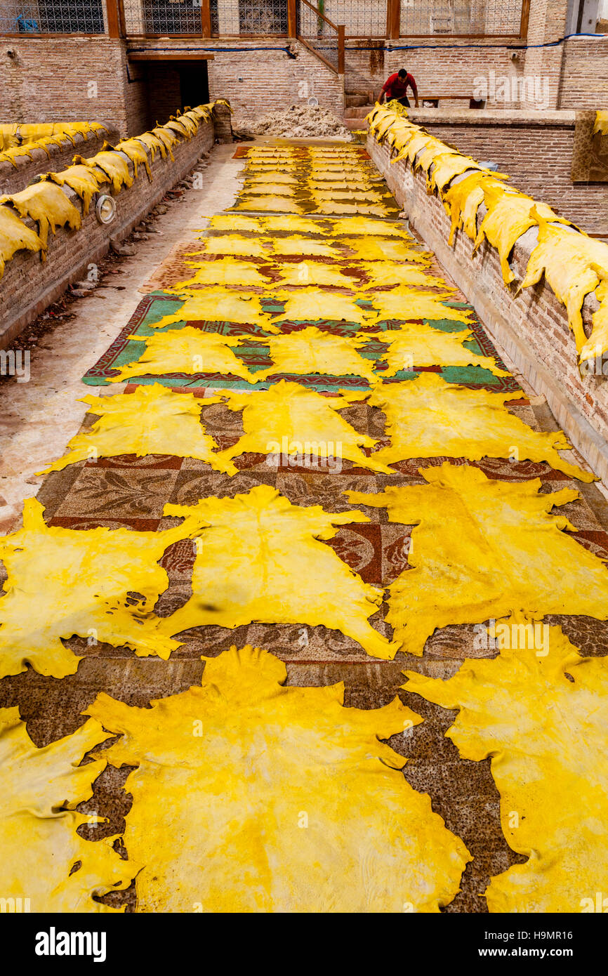 A man walks barefoot over the open pots of leather stains and dyes after  pouring toxic dye powder into one of the empty vats at Stock Photo - Alamy