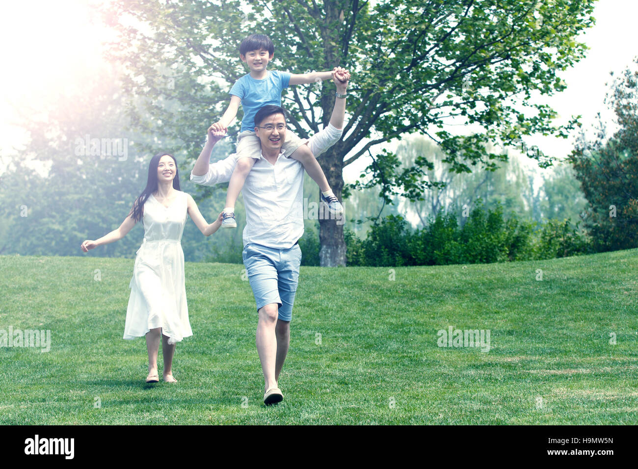 Happy father and son play on the grass Stock Photo - Alamy