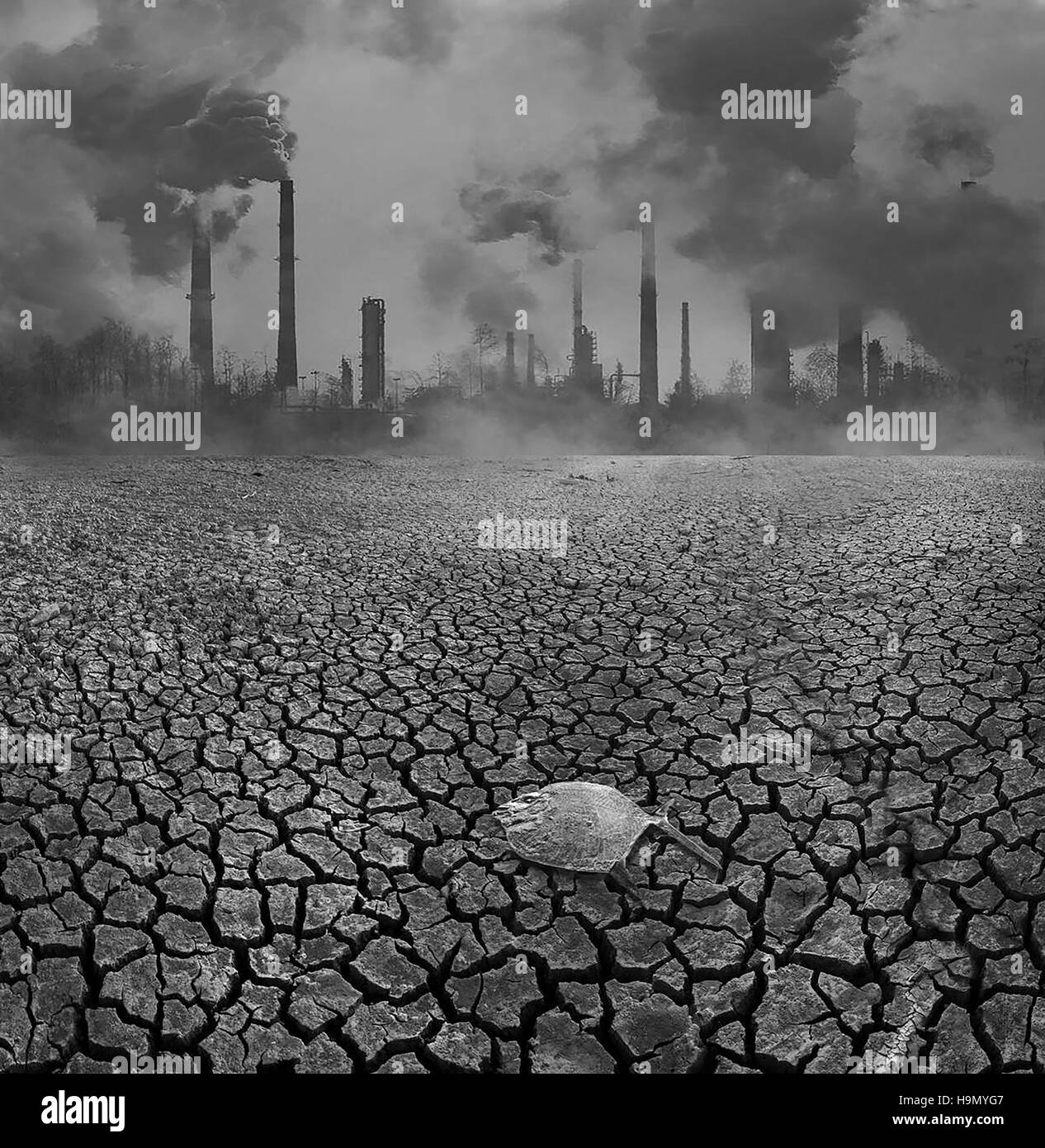 Environmental pollution Stock Photo