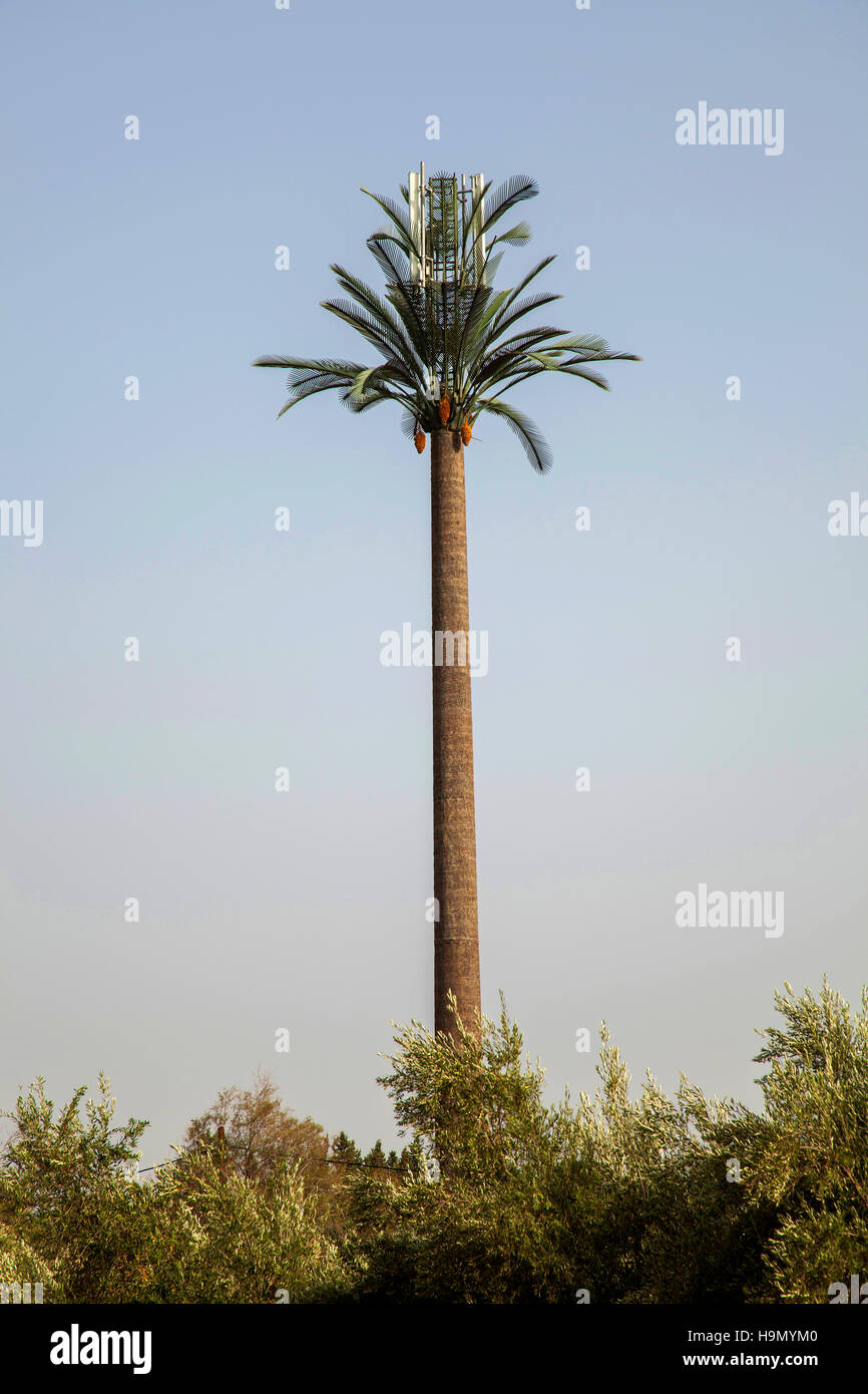 Telecommunication mask disguised as a Palm tree in Marrakesh, Morocco Stock Photo