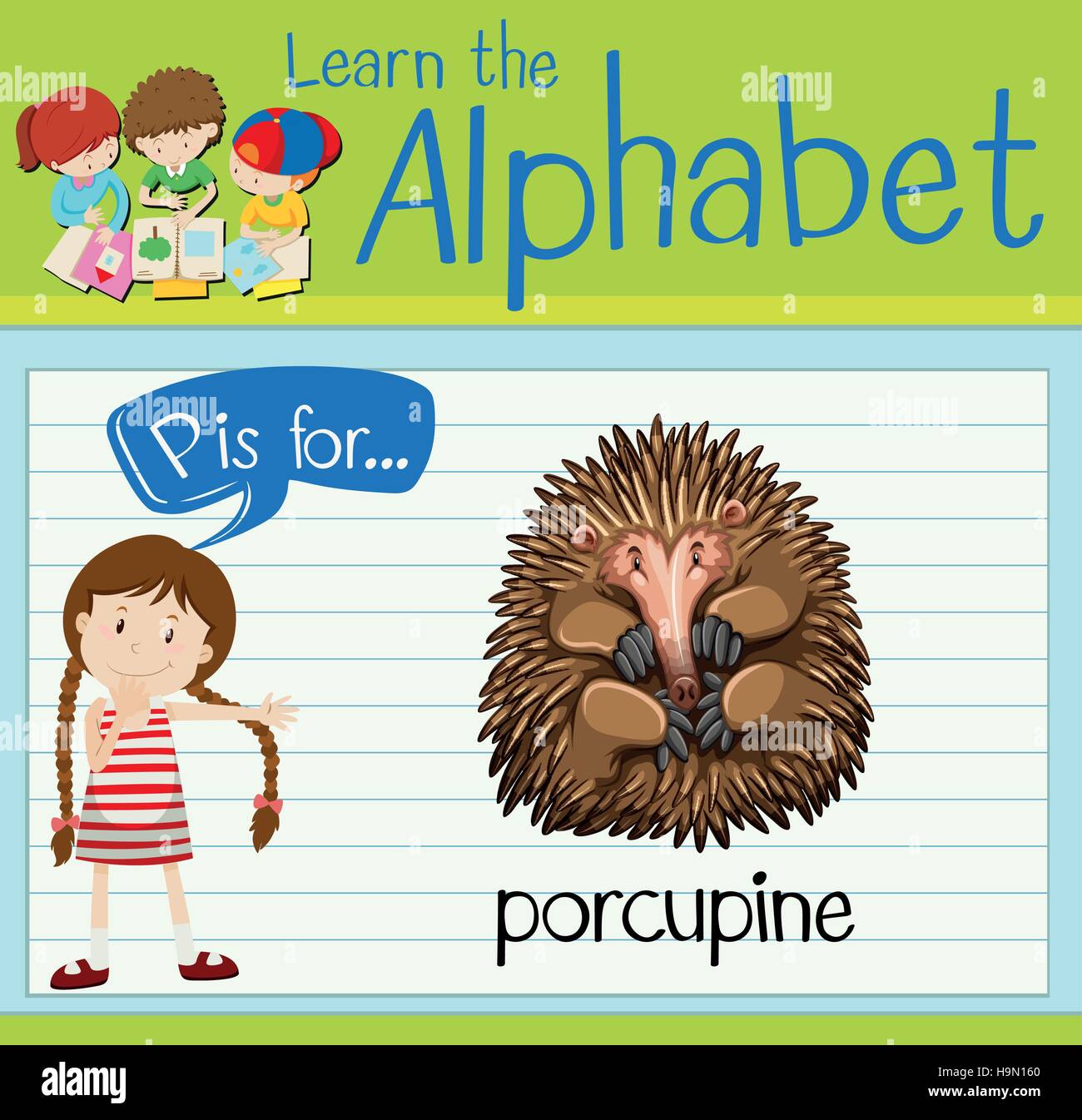 Flashcard letter P is for porcupine illustration Stock Vector Image ...