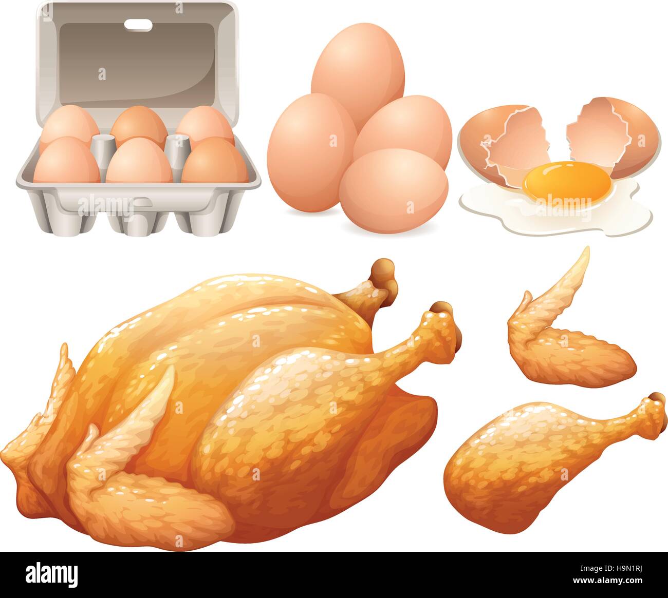 Fried chicken and fresh eggs illustration Stock Vector Image & Art Alamy