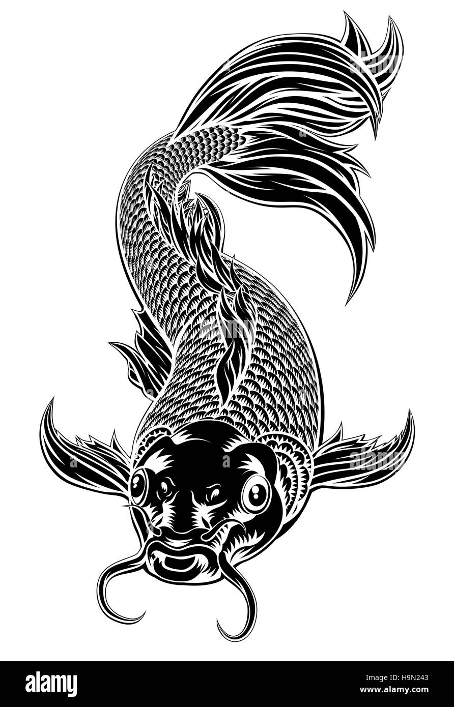 An oriental koi or coy carp fish in a vintage woodcut style Stock Photo