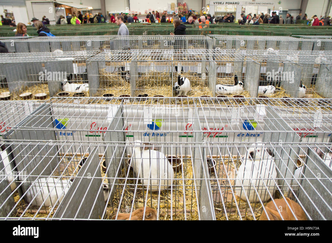 National exhibition of farming animals Chovatel 2016 (Animal breeding ...