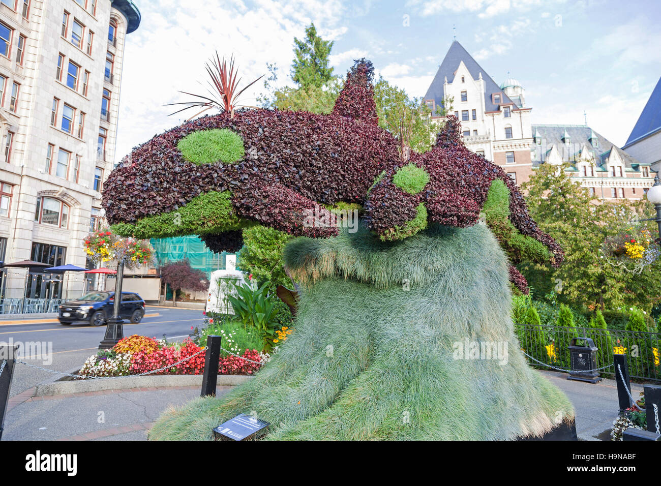 “Surfacing” a flower sculpture of a mother orca and her calf Victoria Vancouver  Island British Columbia Canada Stock Photo