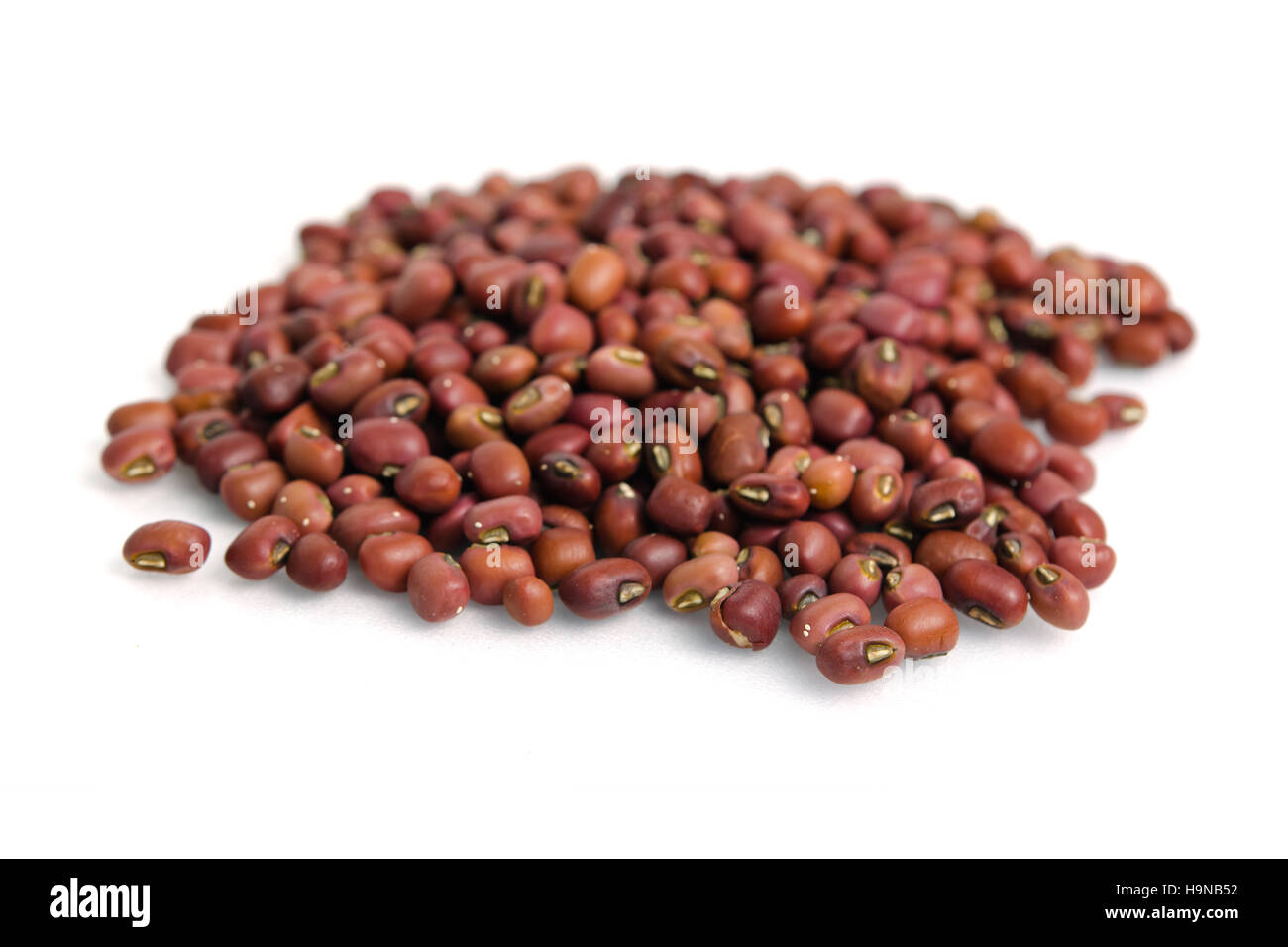 Kidney beans (Also named as Phasecolus vulgaris bean, red kidney beans or kidney beans) isolated on white Stock Photo