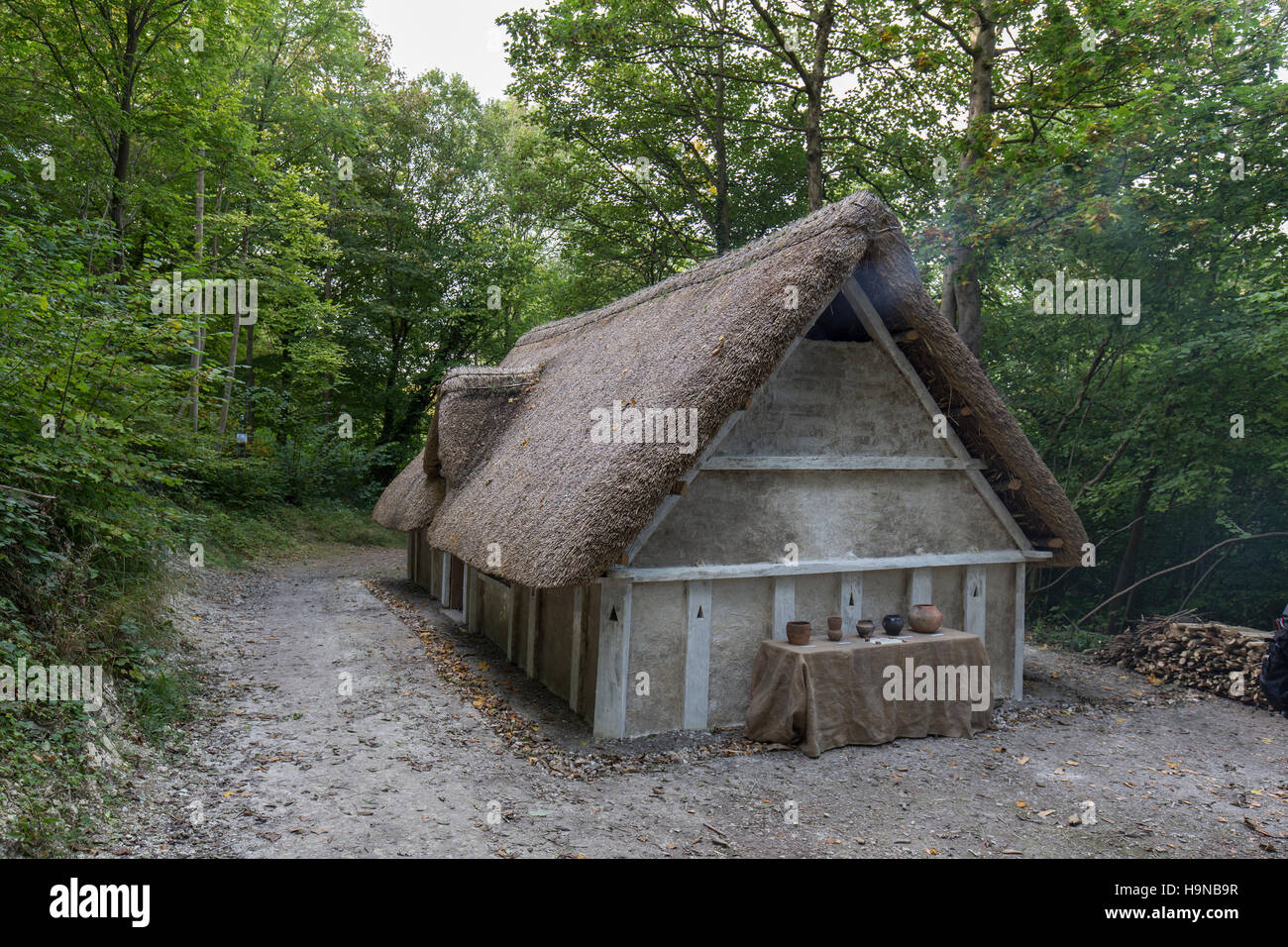 Anglo Saxon house recreated at Weald & Downland Museum, Chichester ...