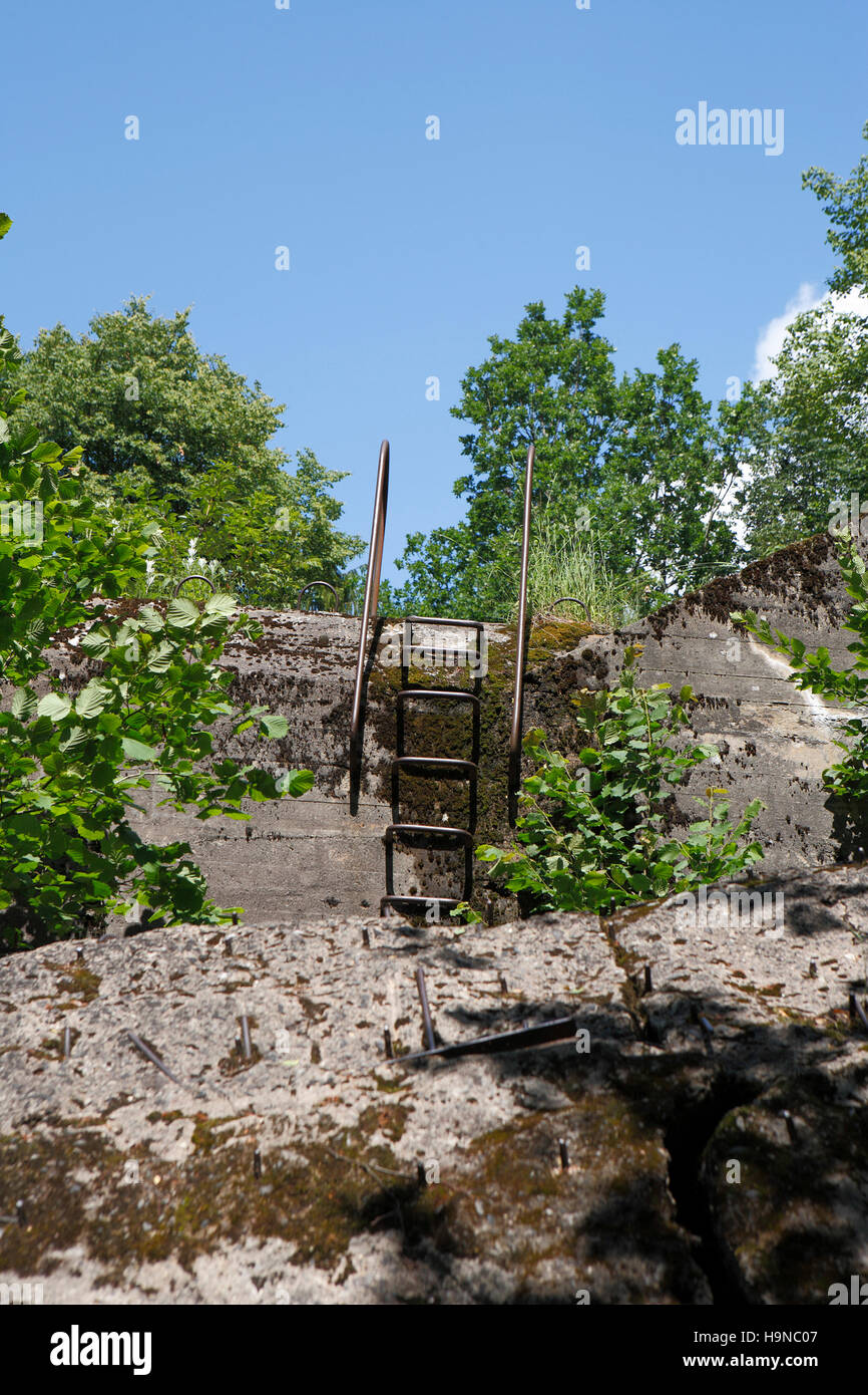 bunker ruin and stairway at wolf's lair (wolfsschanze or wolfschanze). ketrzyn (Rastenburg), poland, europe Stock Photo