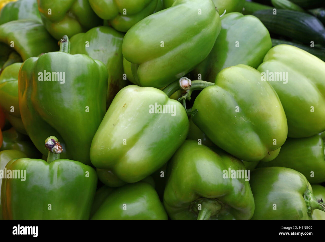 Green sweet bell paprika peppers at retail farmers market stall display ...
