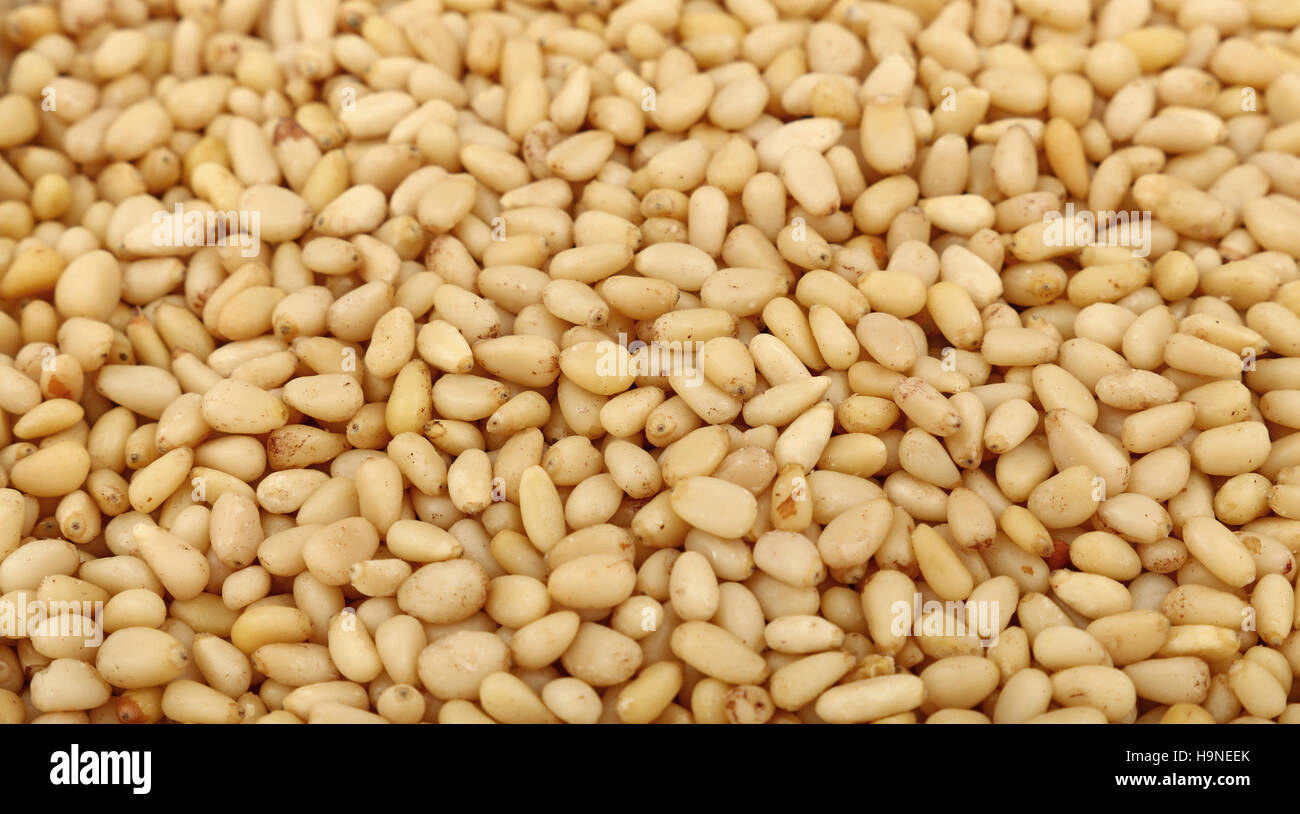 Whole white peeled pine nuts (cedar, pignolia, pinon) on retail market