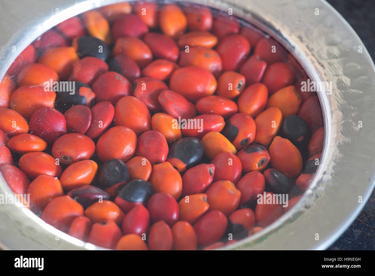 Wairuro seeds Stock Photo
