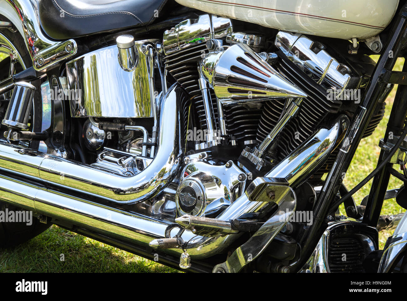 harley davidson 48 engine