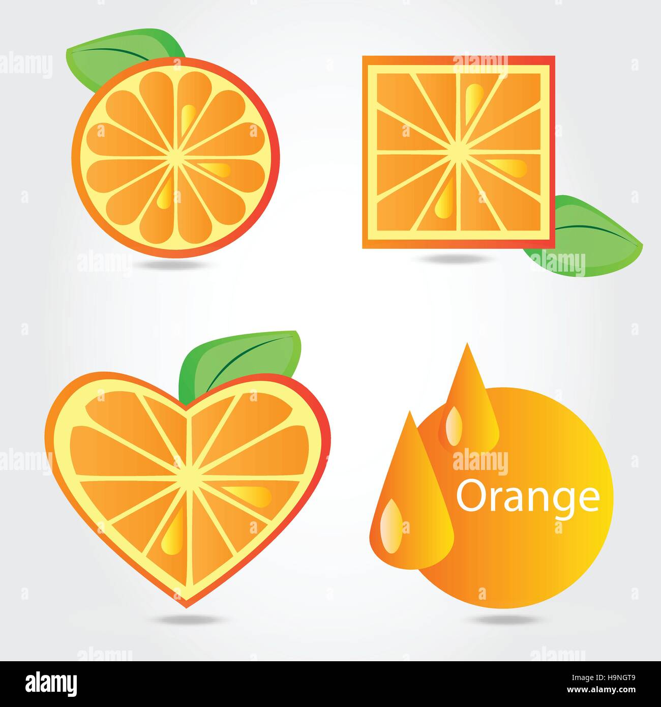 Shapes of orange fruit - vector illustration on white background Stock Vector