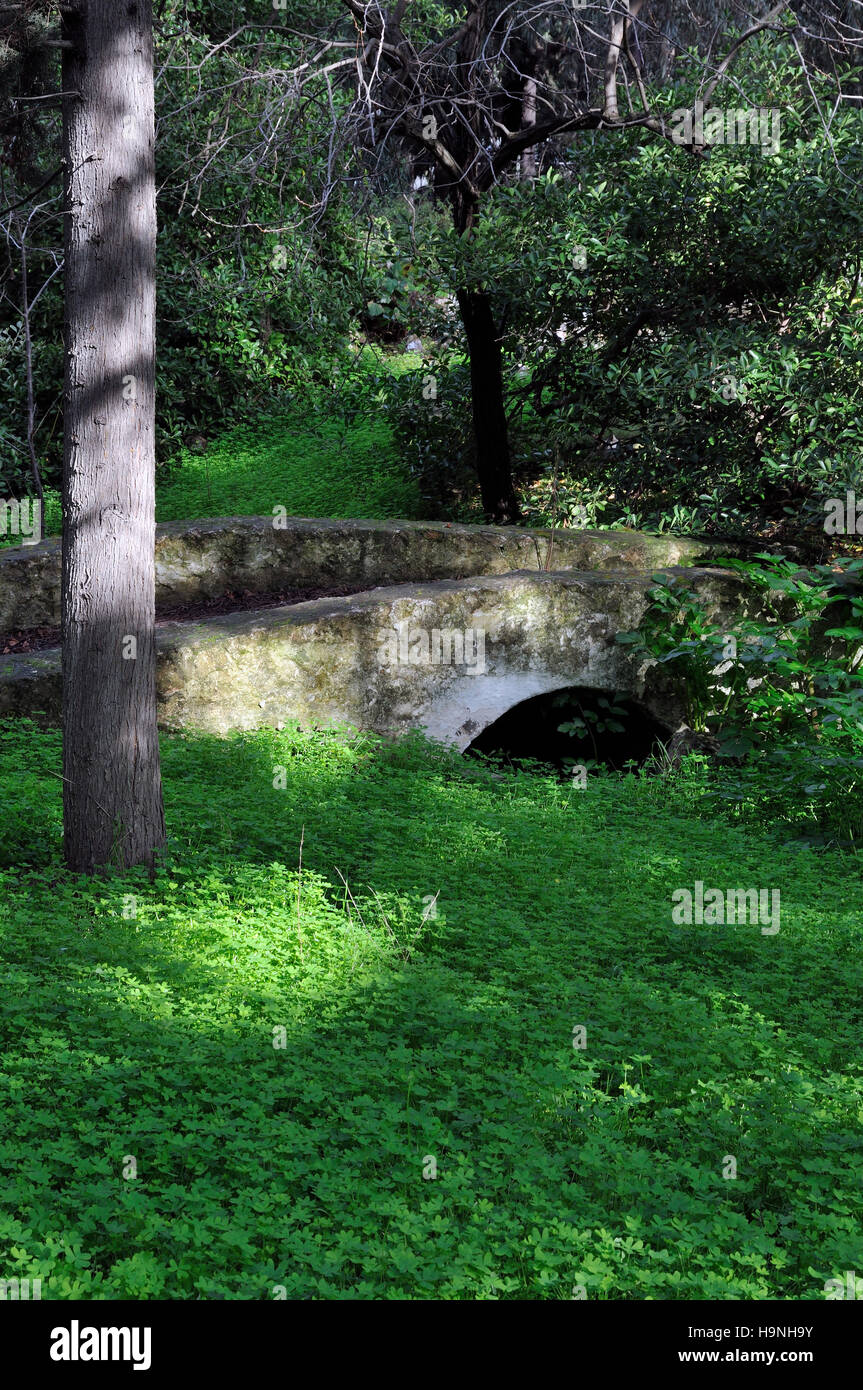 Small bridge in Dafni park in Athens, Greece Stock Photo