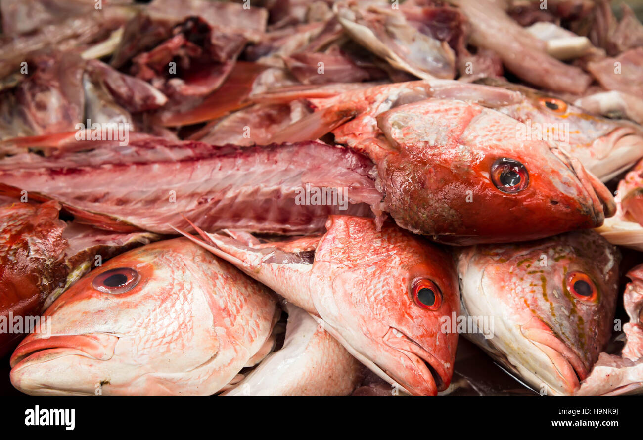 Red snappers at the local market of Acapulco, Mexico Stock Photo