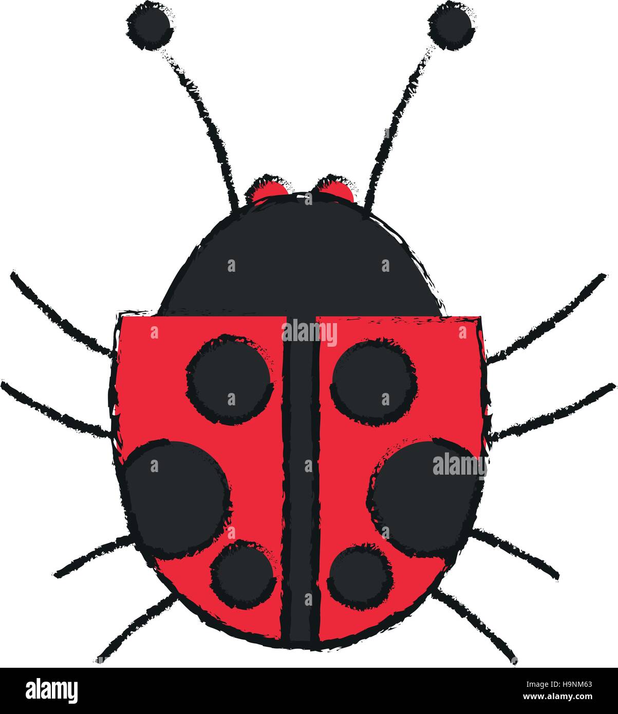 Isolated bug design Stock Vector Image & Art - Alamy