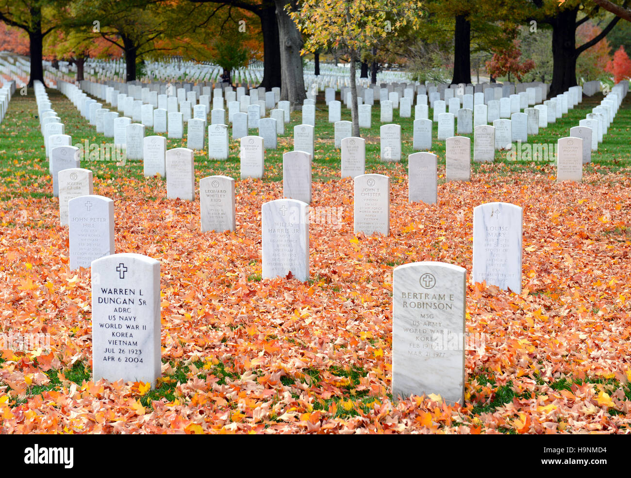 Tombstones at Arlington National Cemetery, Washington DC, United States of America Stock Photo