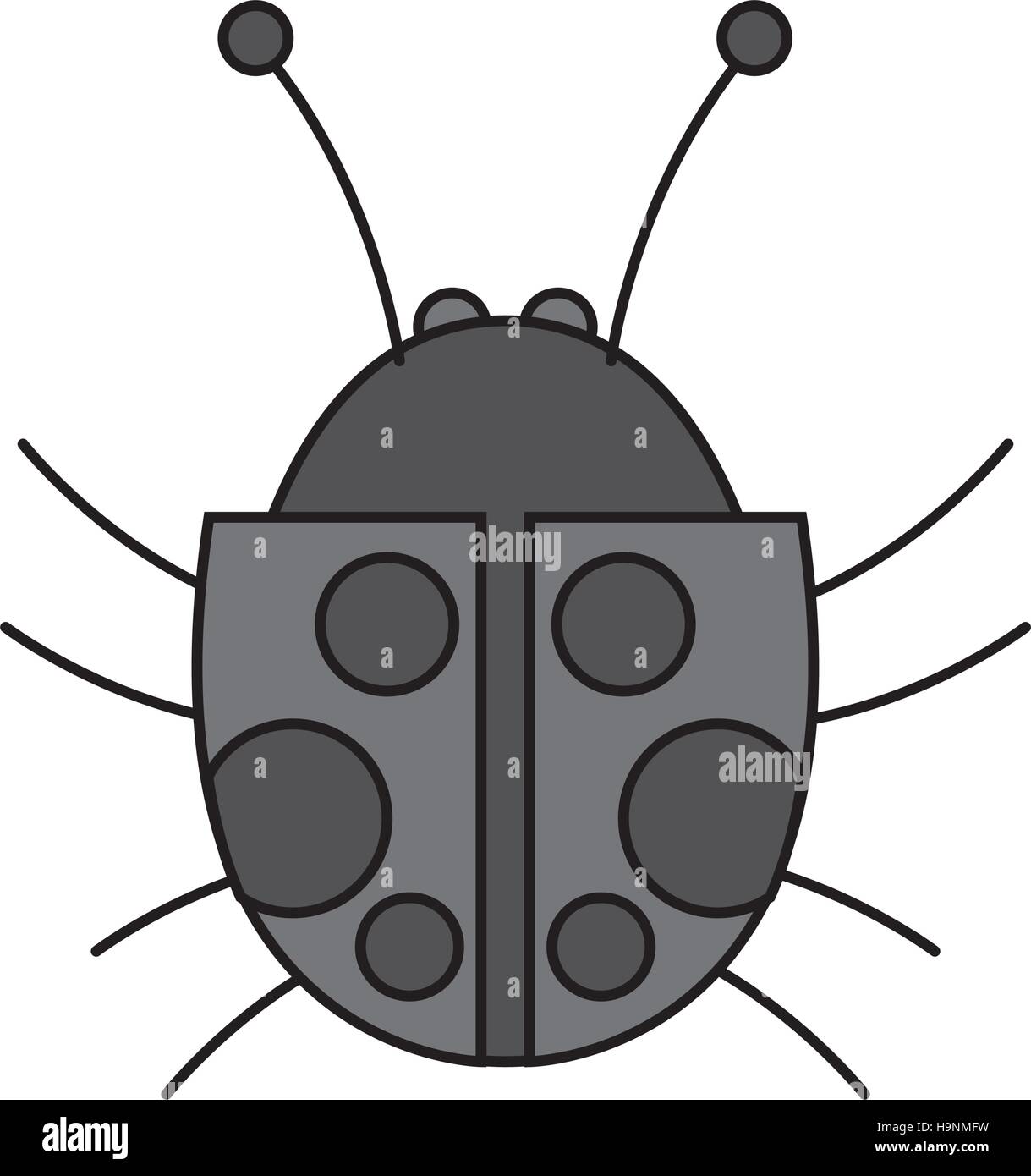 Isolated bug design Stock Vector Image & Art - Alamy