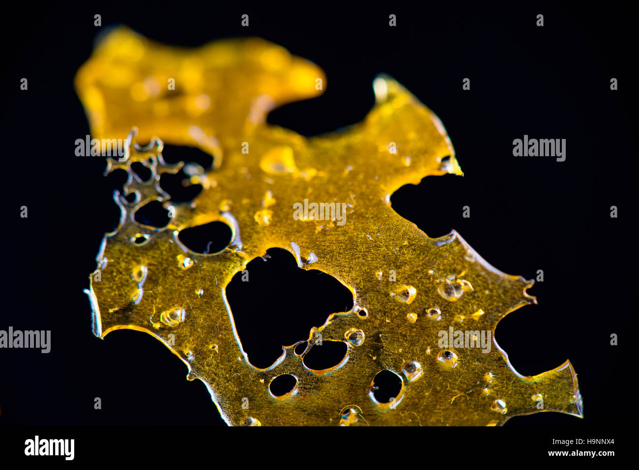 Shatter Close up detail of marijuana oil concentrate aka shatter isolated on ...