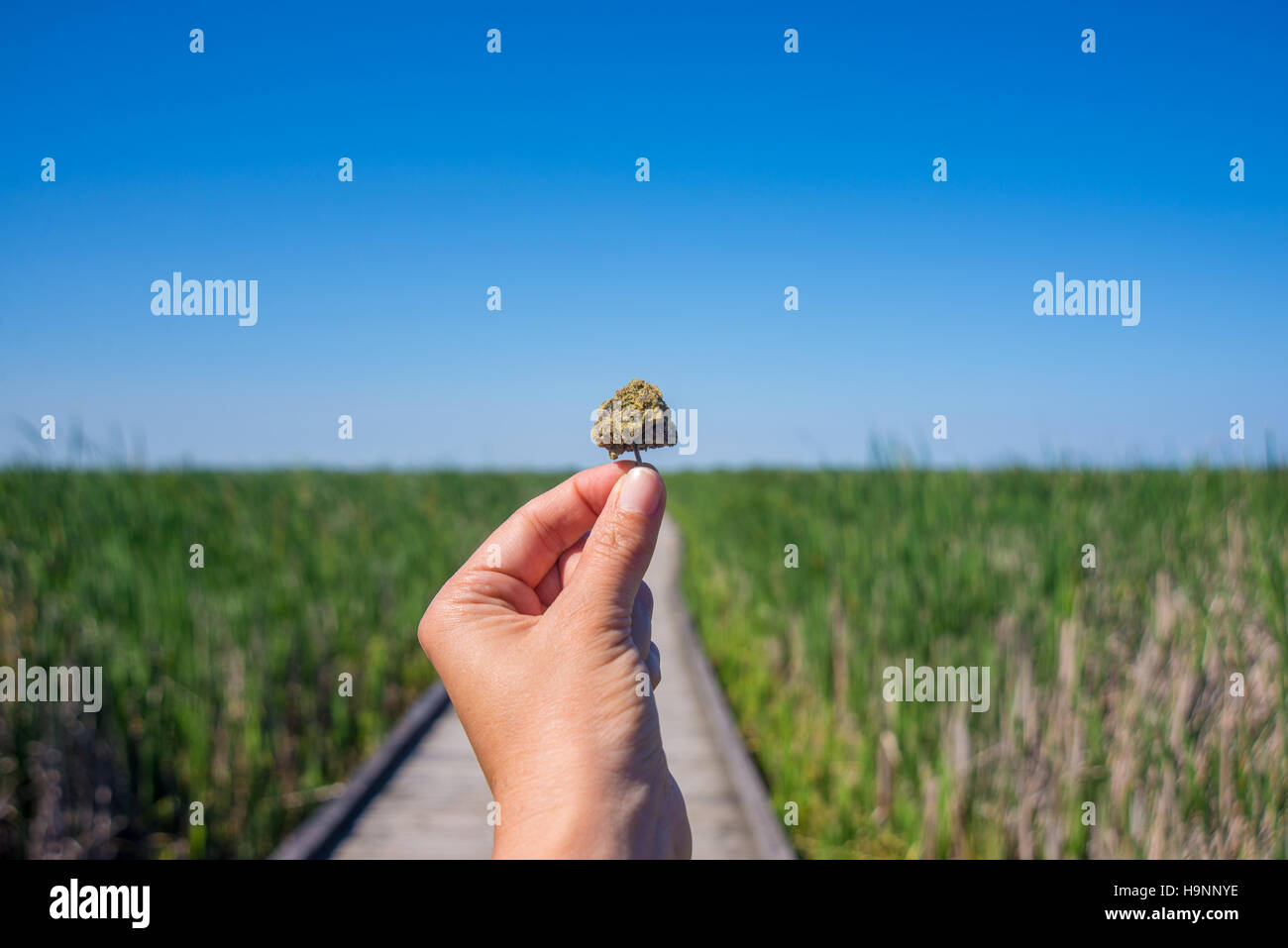 Hand holding cannabis bud against trail and blue sky landscape - medical marijuana concept Stock Photo