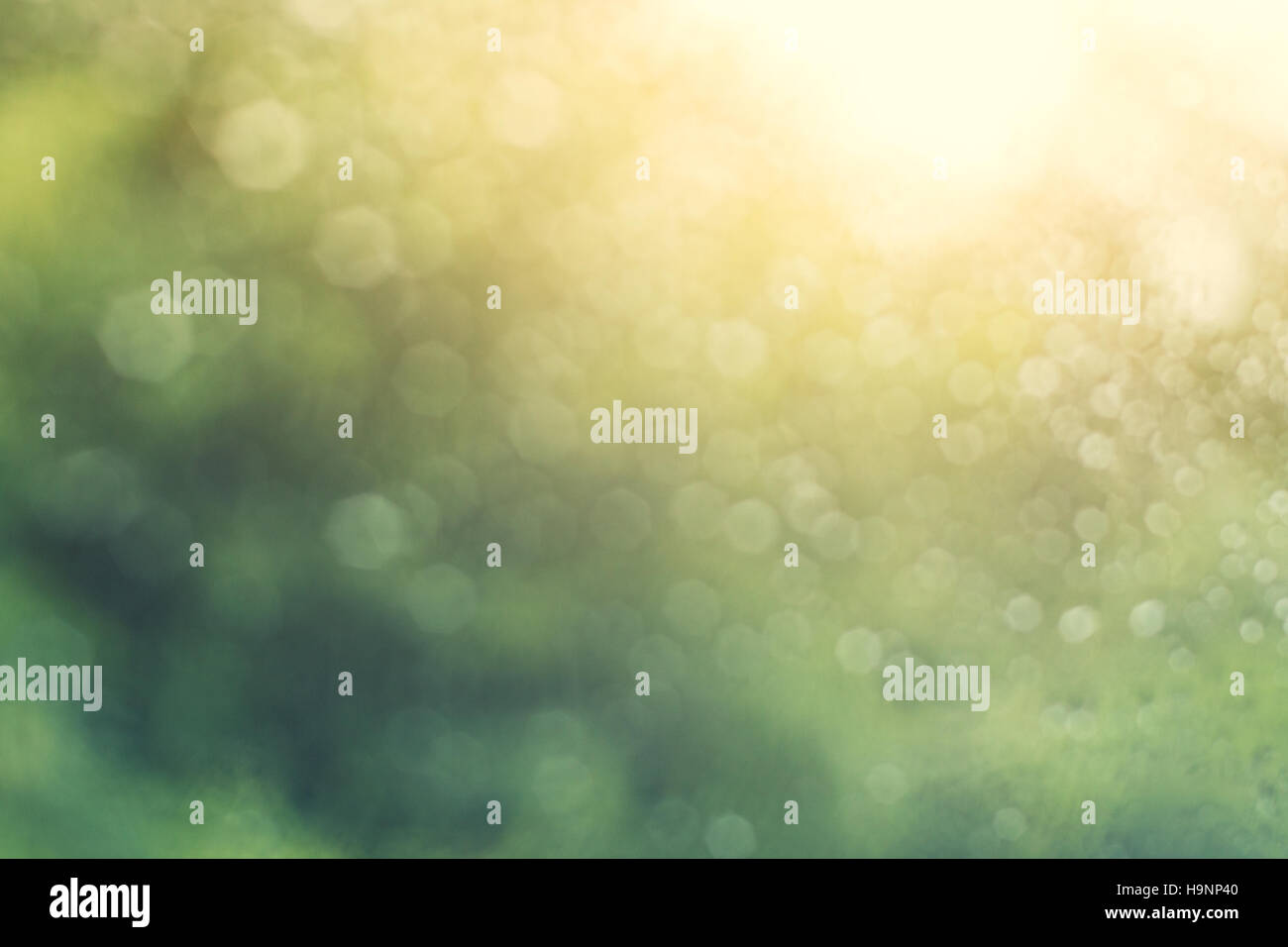 Road defocused light night tree hi-res stock photography and images - Alamy