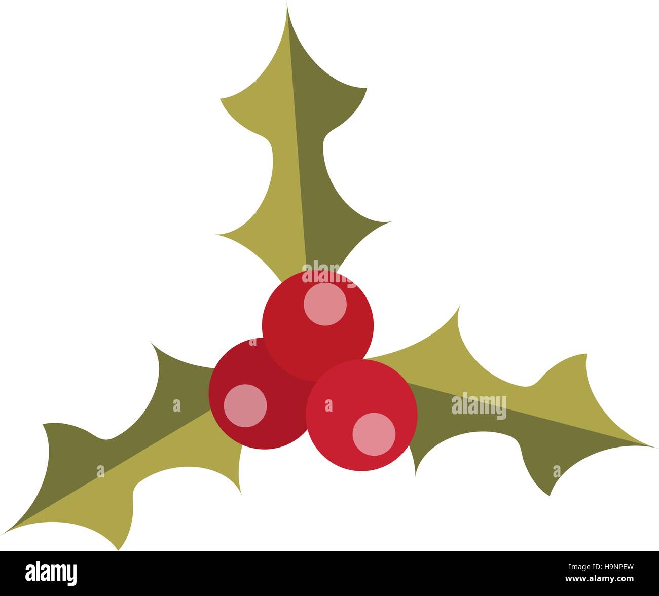 Holly vector icon. Isolated on white background. Stock Vector