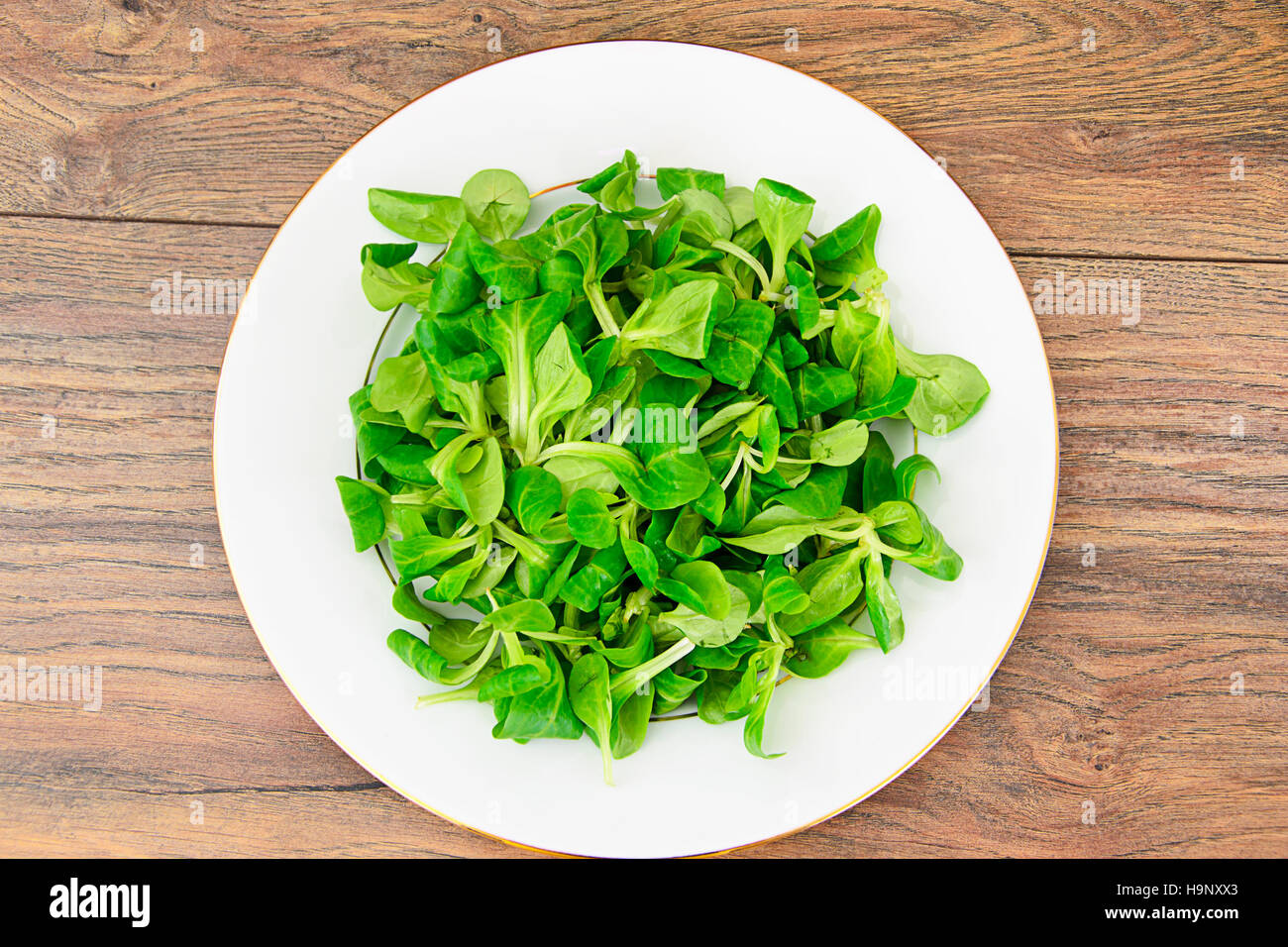 Green Fresh Salad Stock Photo