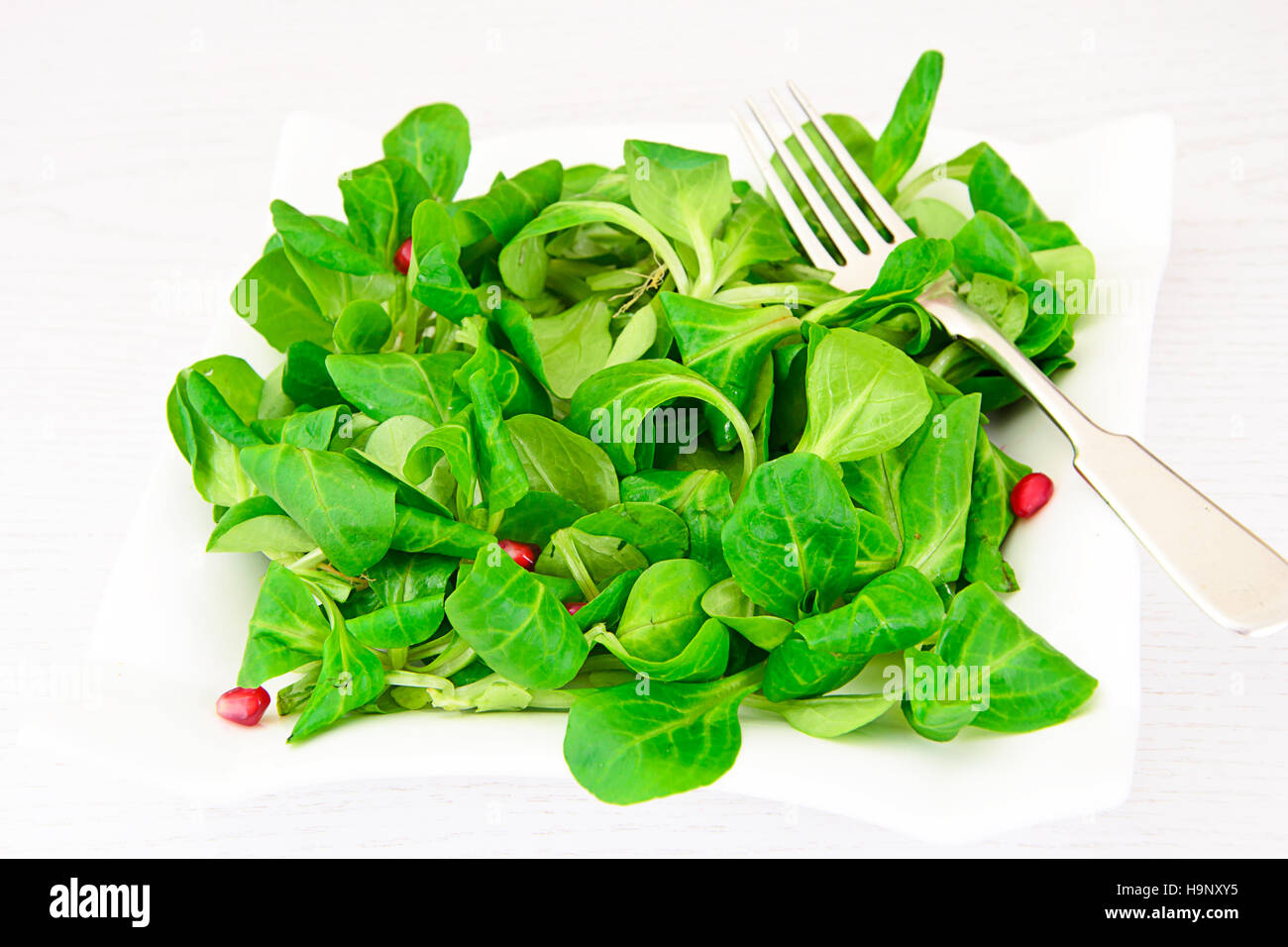 Green Fresh Salad Stock Photo