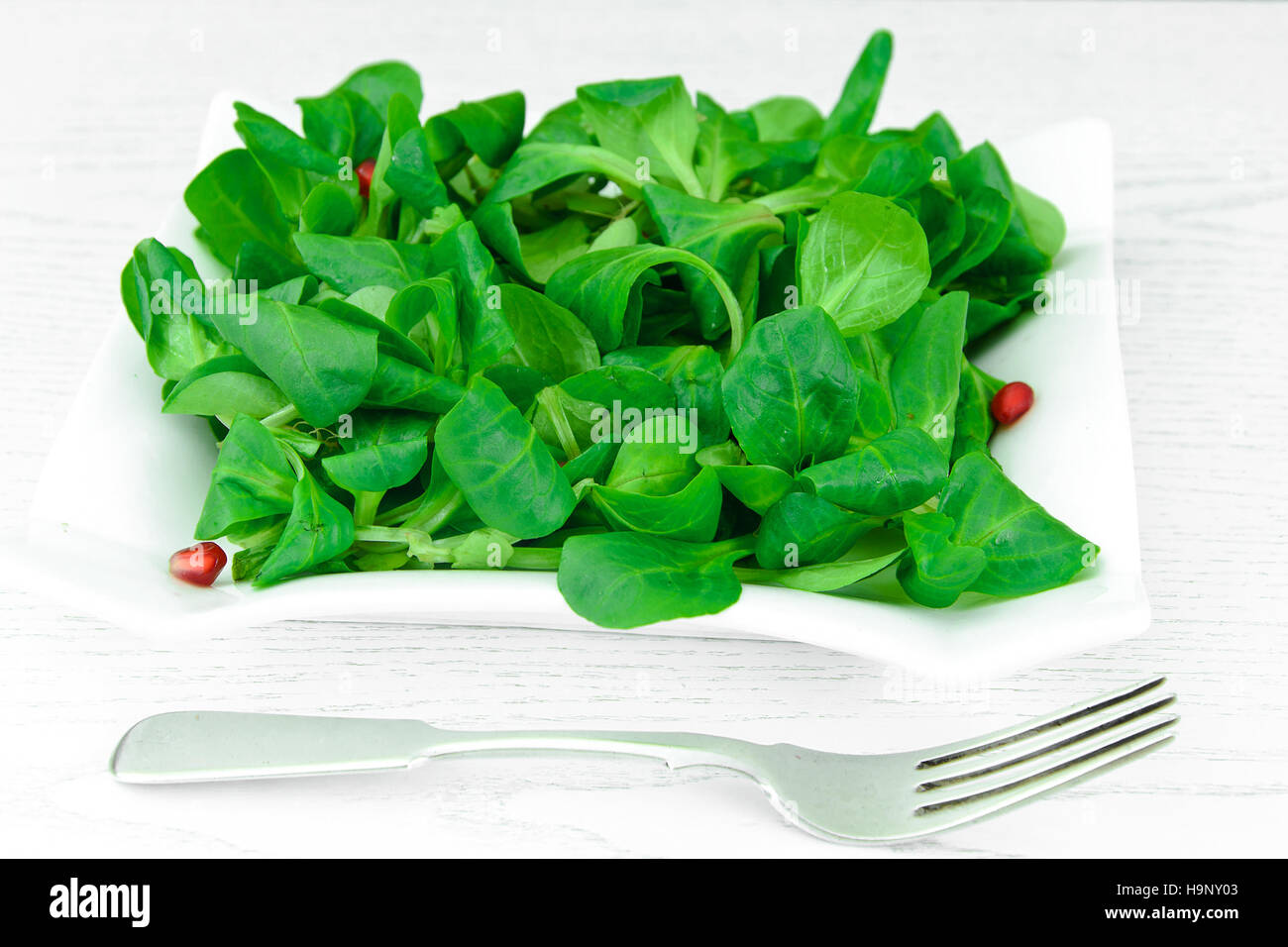 Green Fresh Salad on Plate. Stock Photo