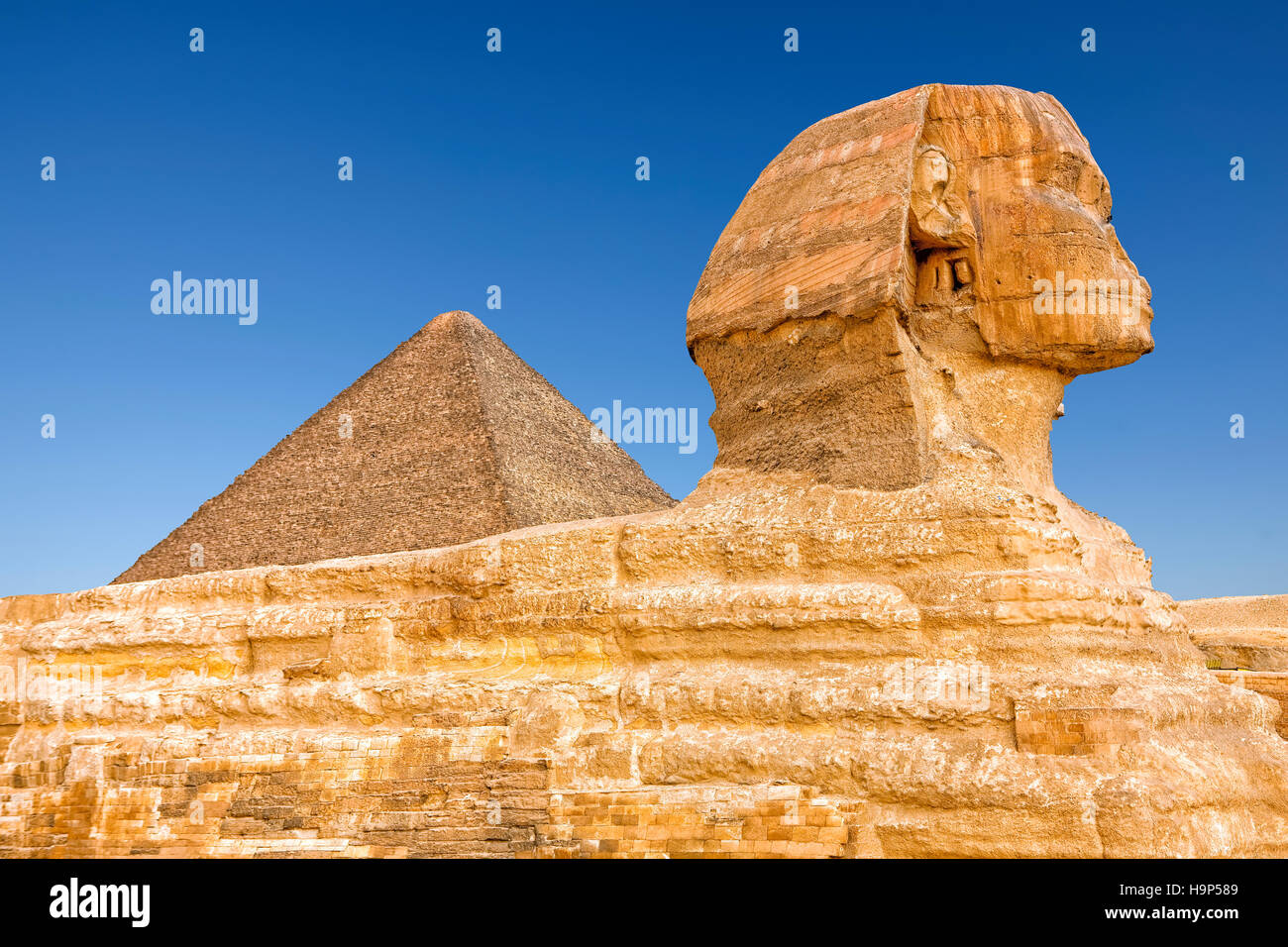 The Sphinx in Giza, Cairo, Egypt Stock Photo Alamy