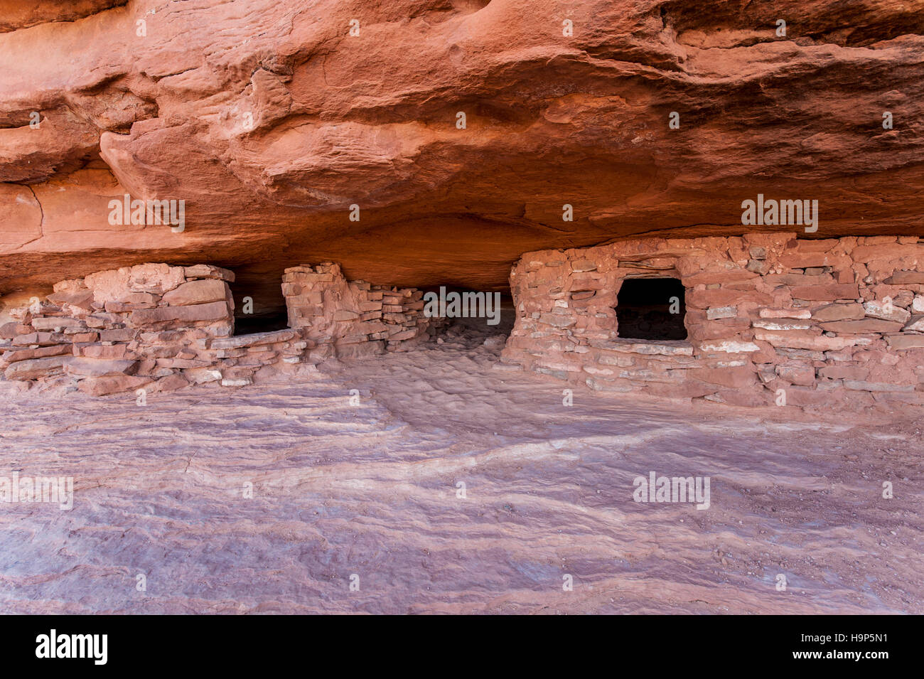 Aztec butte canyonlands national park Clearance
