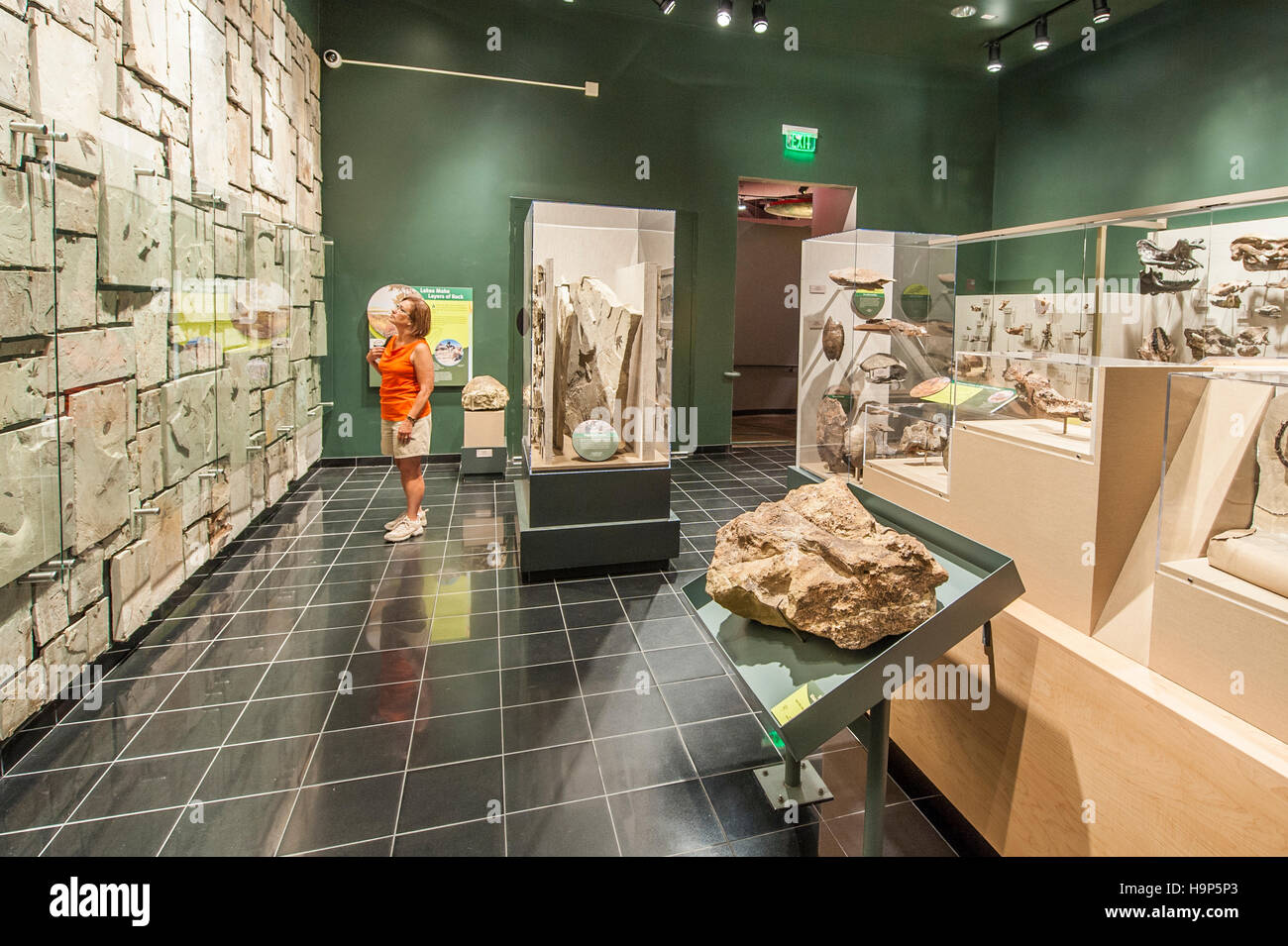 Artifacts at the Utah Field House of Natural History State Park Museum
