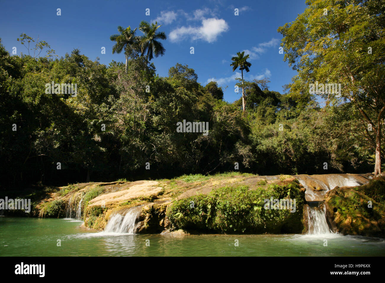 Mini waterfalls perfect for swimming at Banos del San Juan, Las Terrazas, Viñales, Cuba, Caribbean. Stock Photo