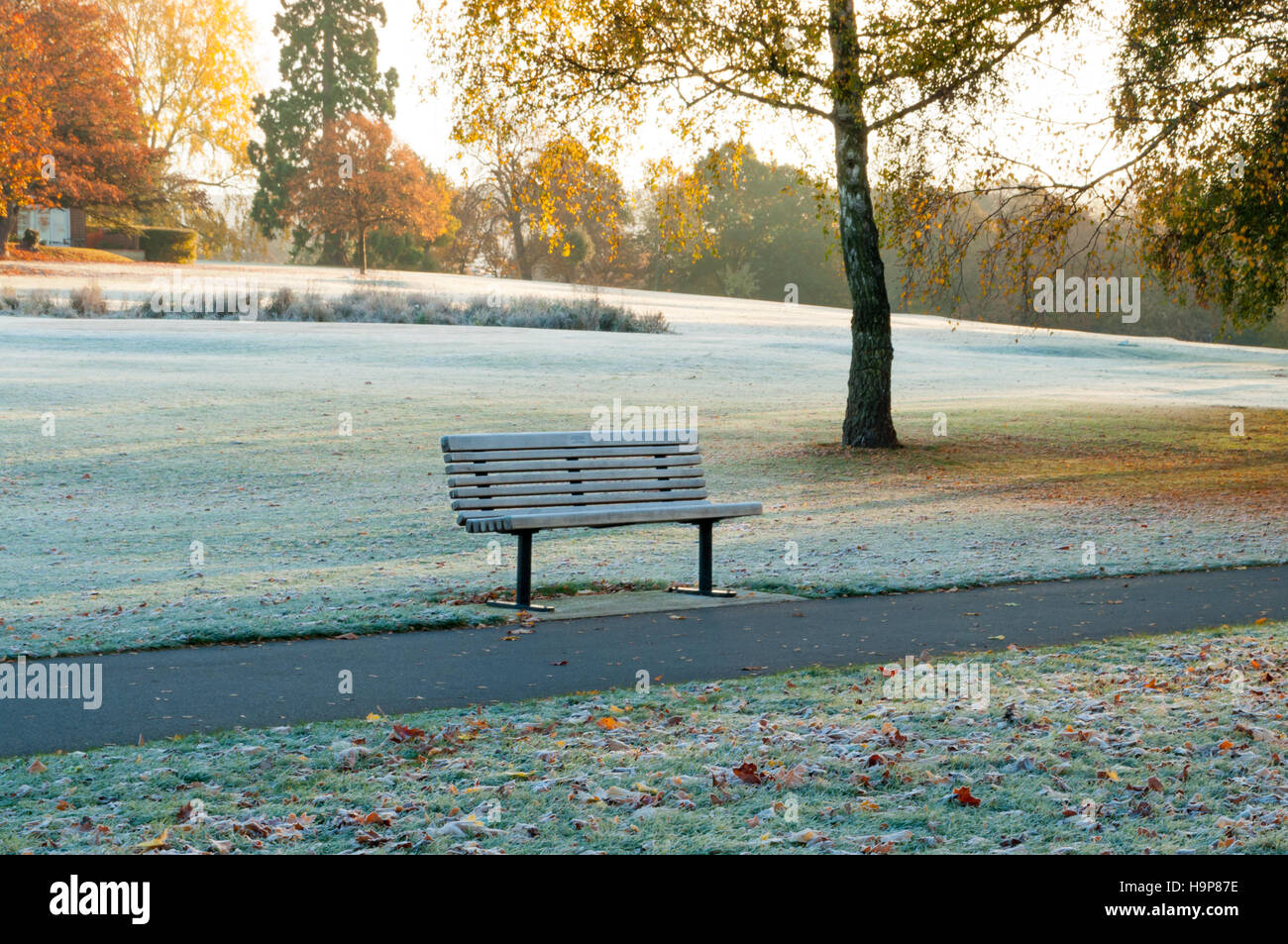 Scene Of Frost Covered Empty Park Bench In Autumn Stock Photo