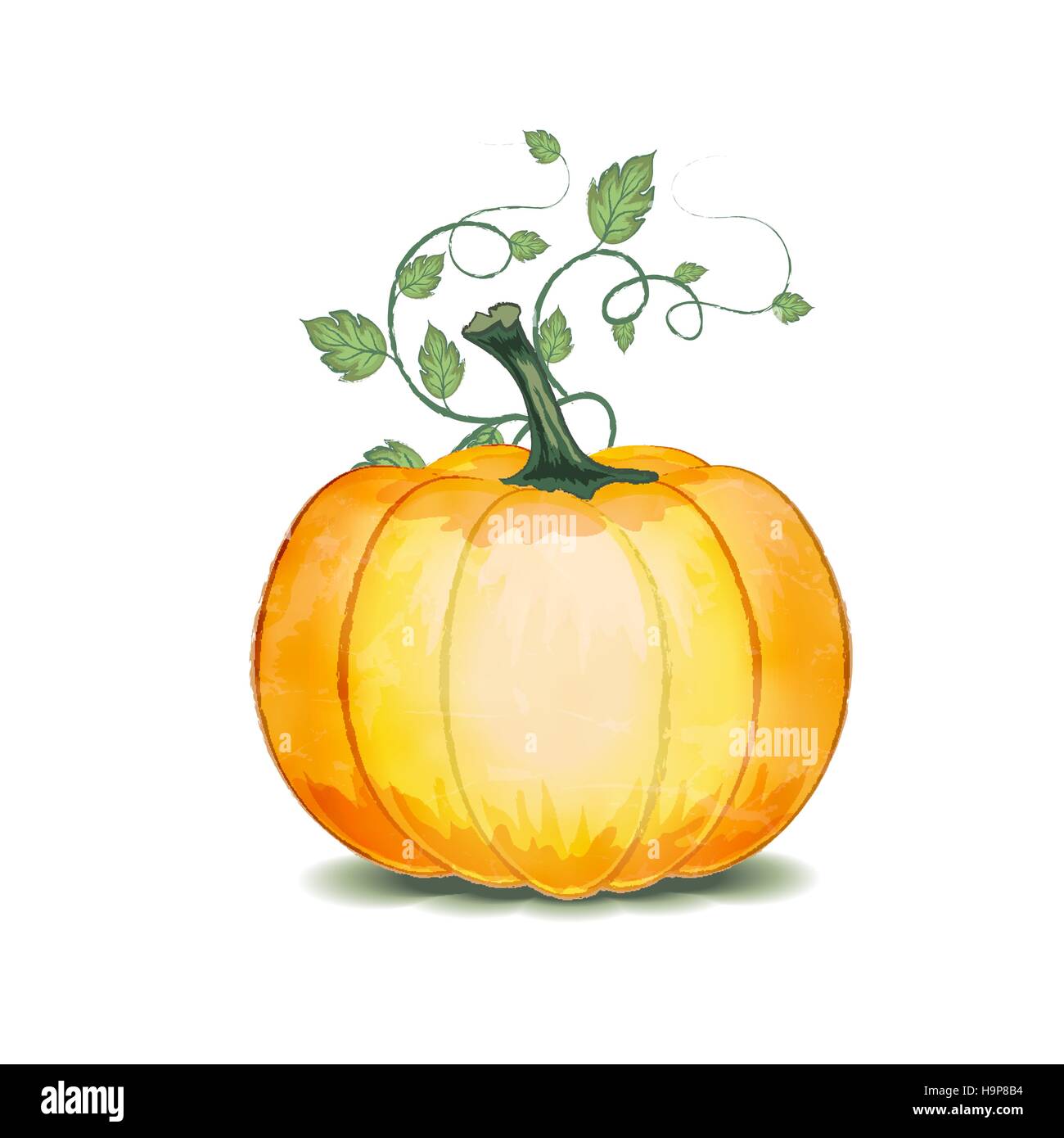 Grunge Pumpkin With Leaves On A White Background Stock Vector Image ...