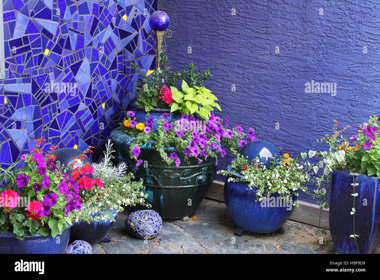 Purple wall and flower corner, Canada Stock Photo