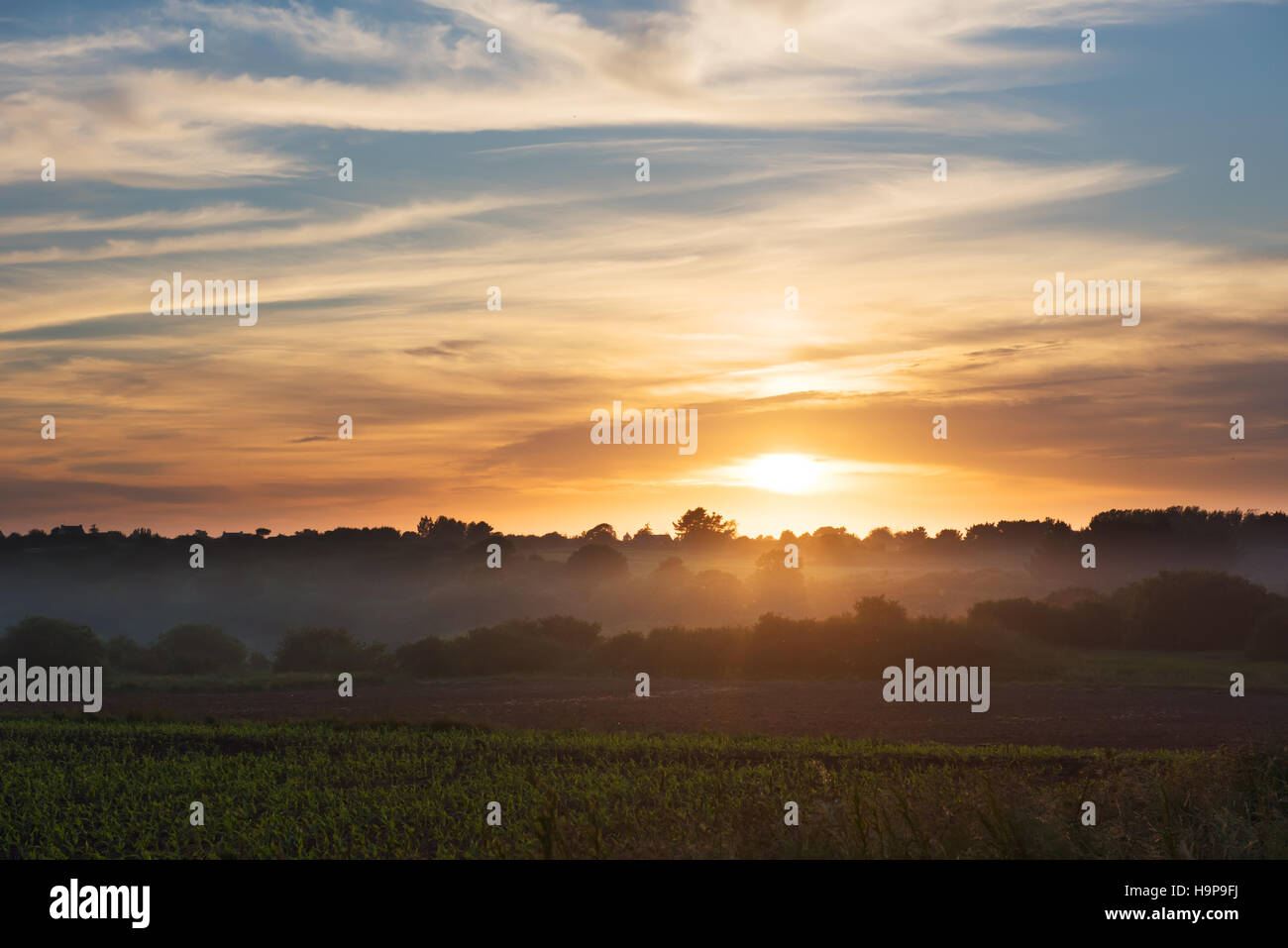 green field and beautiful sunset Stock Photo - Alamy