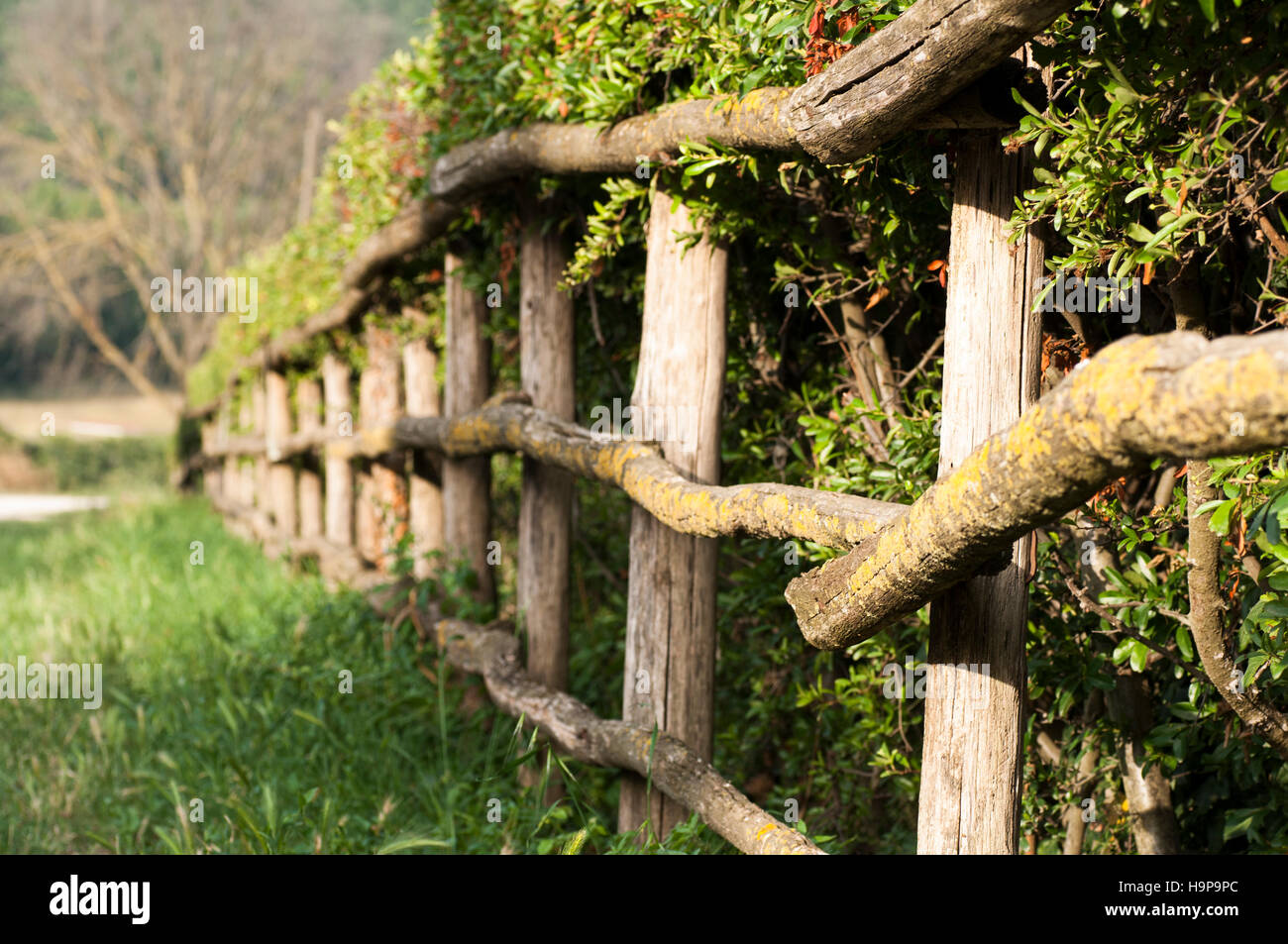 wooden fence with a fence in the countryside Stock Photo - Alamy