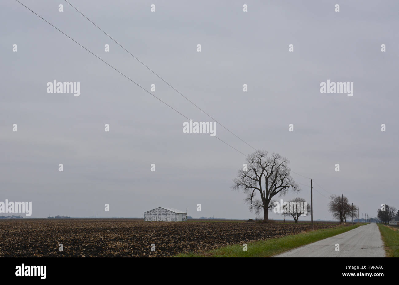 A rural road leads off into the distance under cold gray November skies in the Midwestern United States farm country. Stock Photo