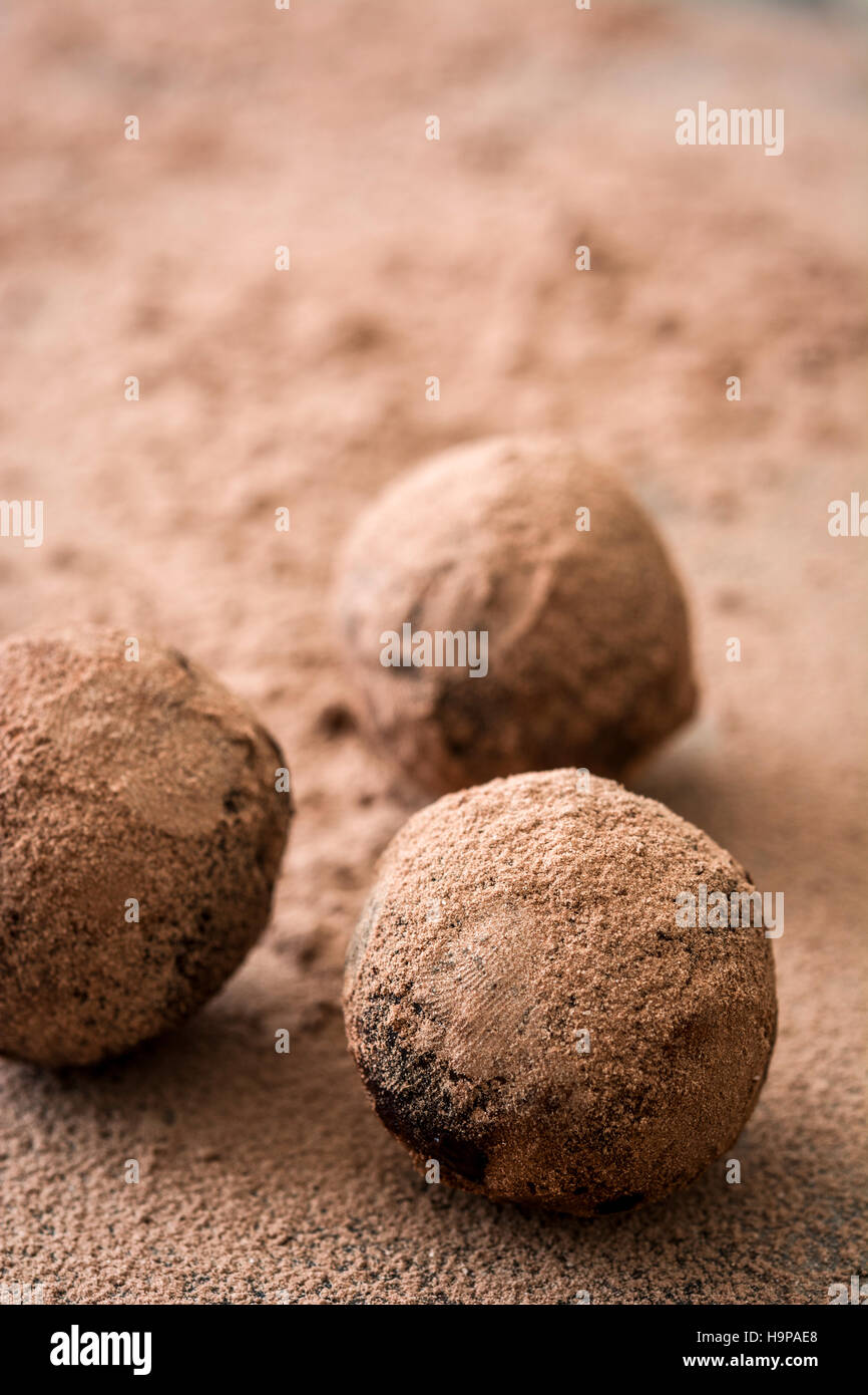 Delicious chocolate truffles with cocoa dusted Stock Photo